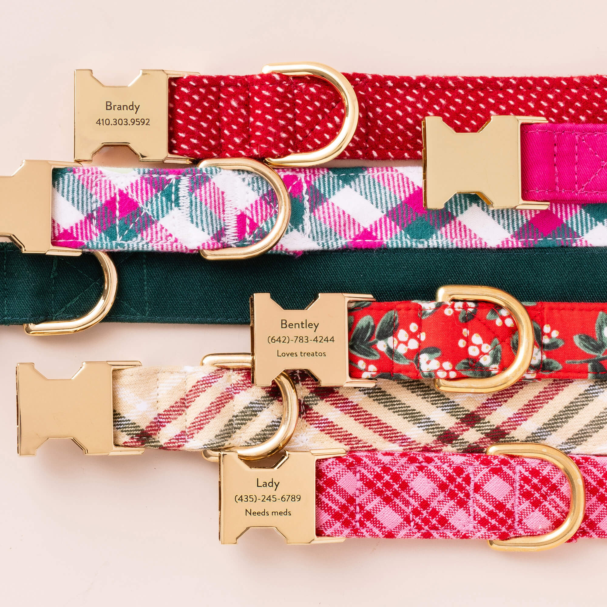 Evergreen Dog Collar - Image 7