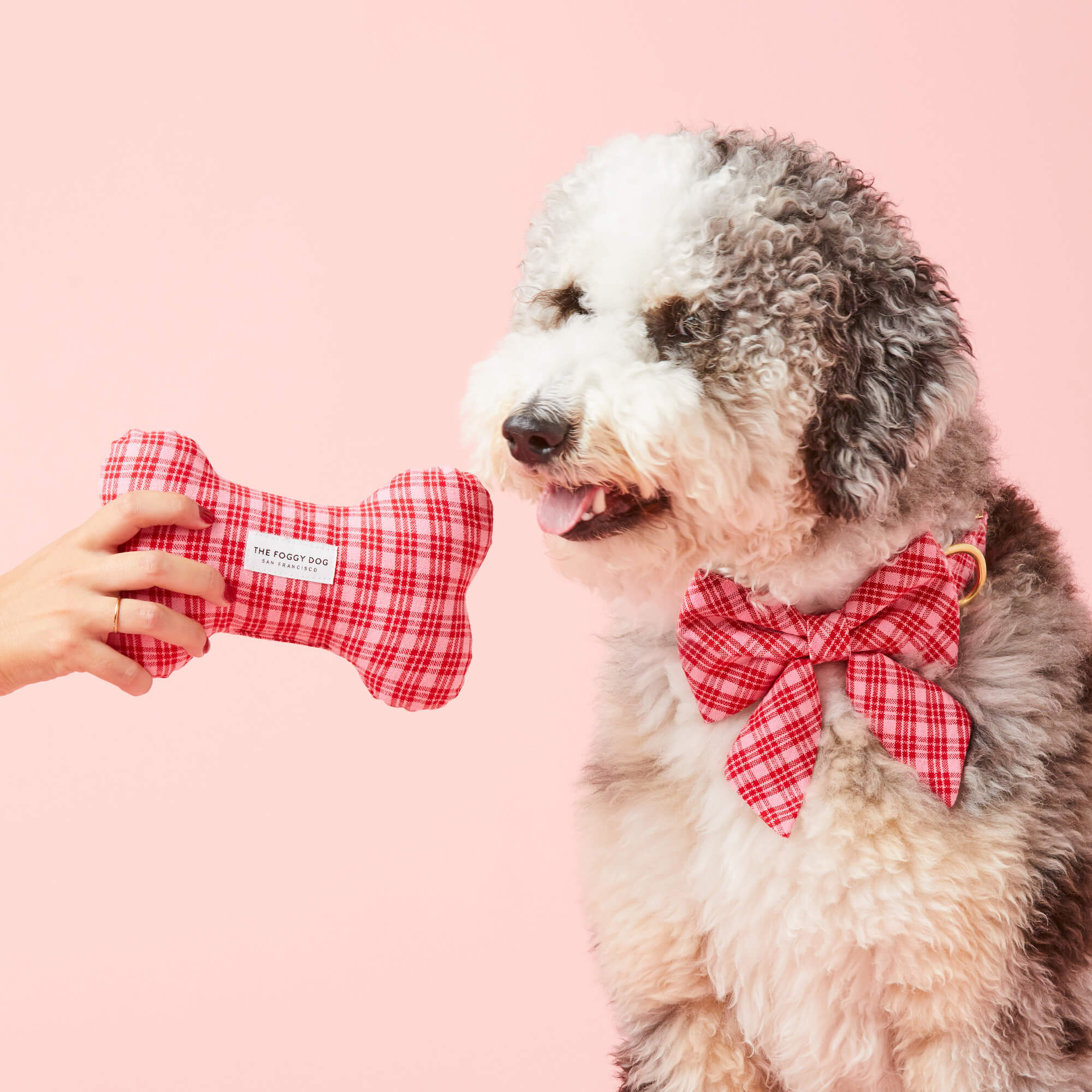 Heather Taylor Home x TFD Katherine Plaid Valentine Lady Dog Bow - Image 5