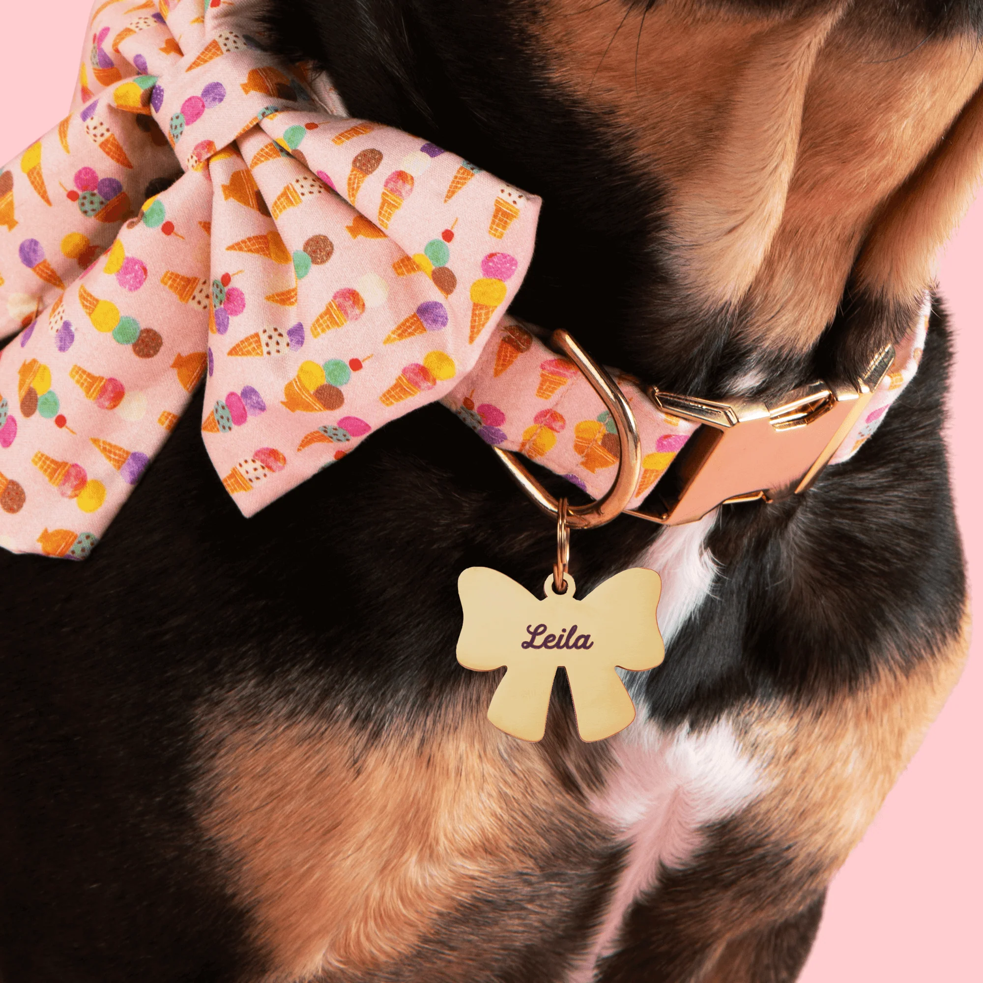 Lady Bow Pet ID Tag - Image 4