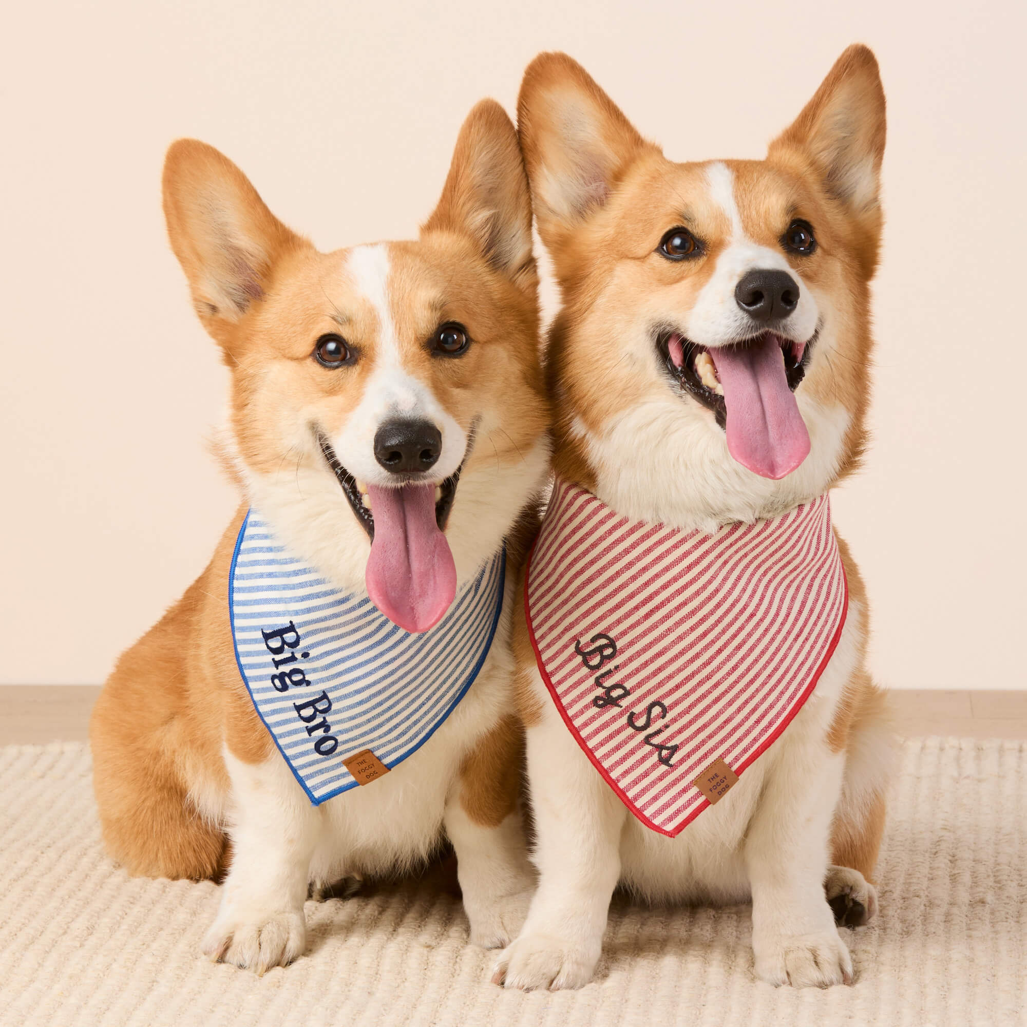 Lake Blue Stripe Dog Bandana - Image 3