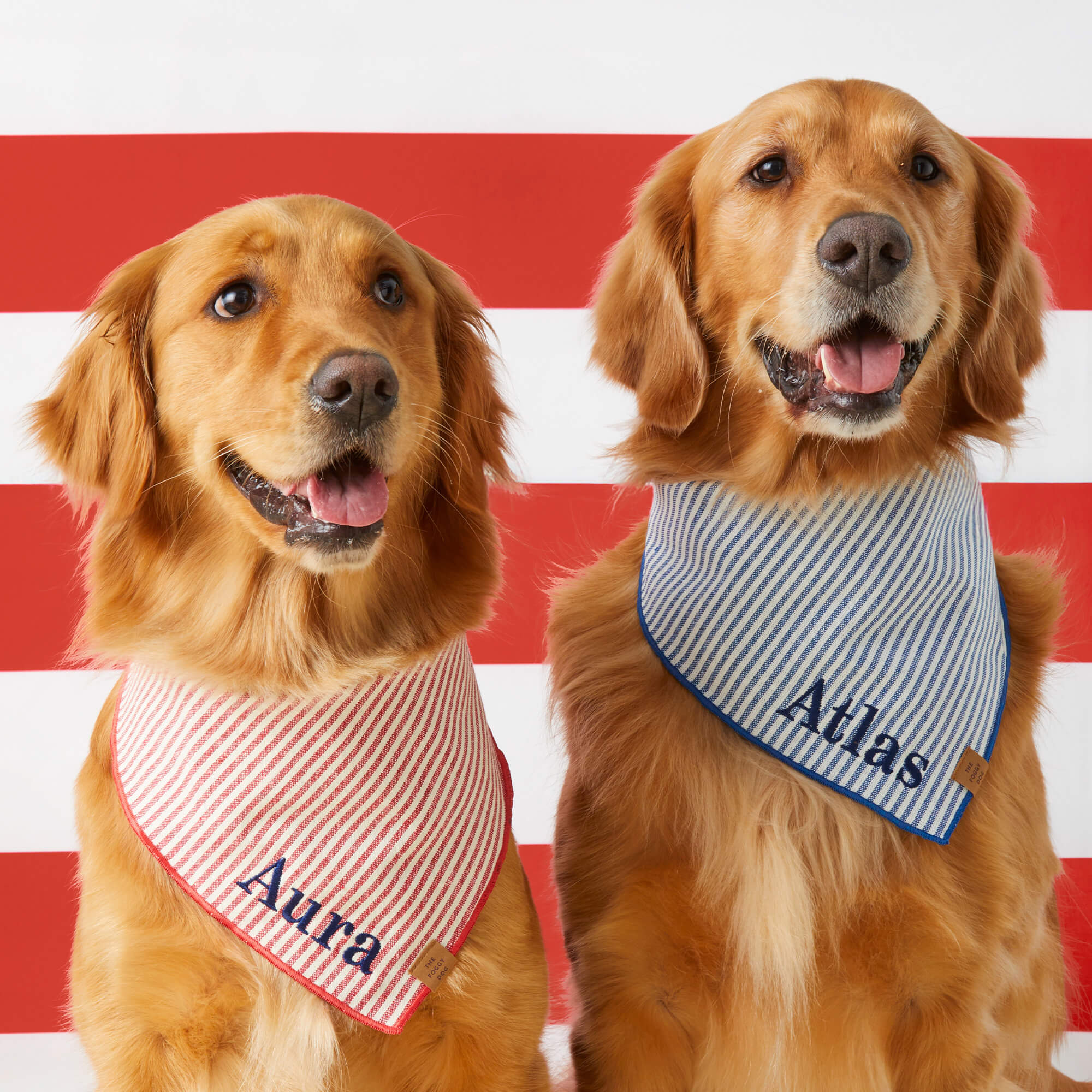 Lake Blue Stripe Dog Bandana - Image 4