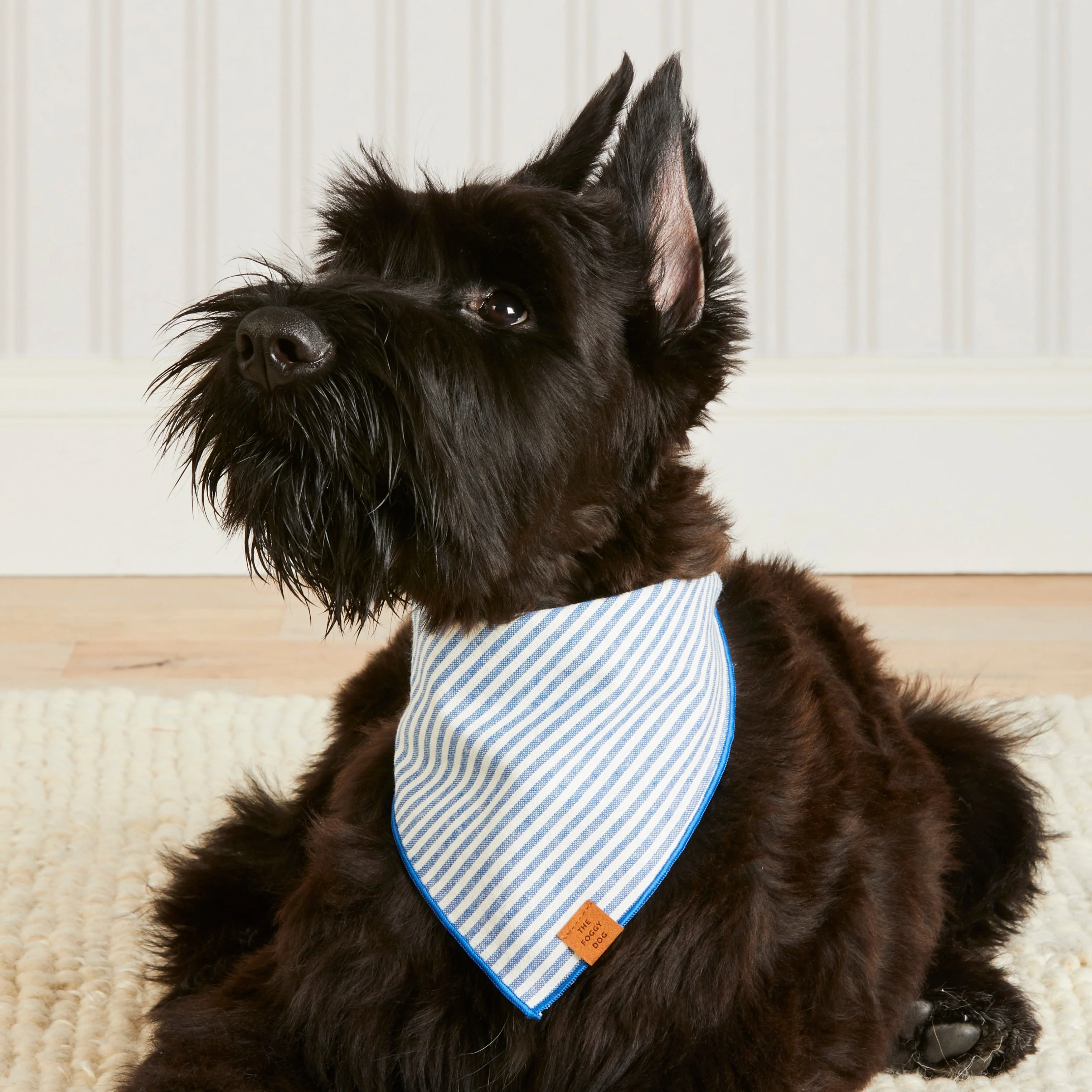 Lake Blue Stripe Dog Bandana - Image 5