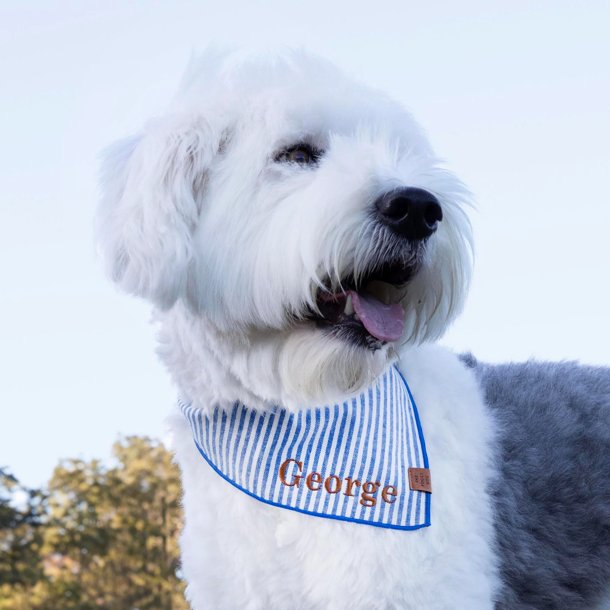 Lake Blue Stripe Dog Bandana - Image 6