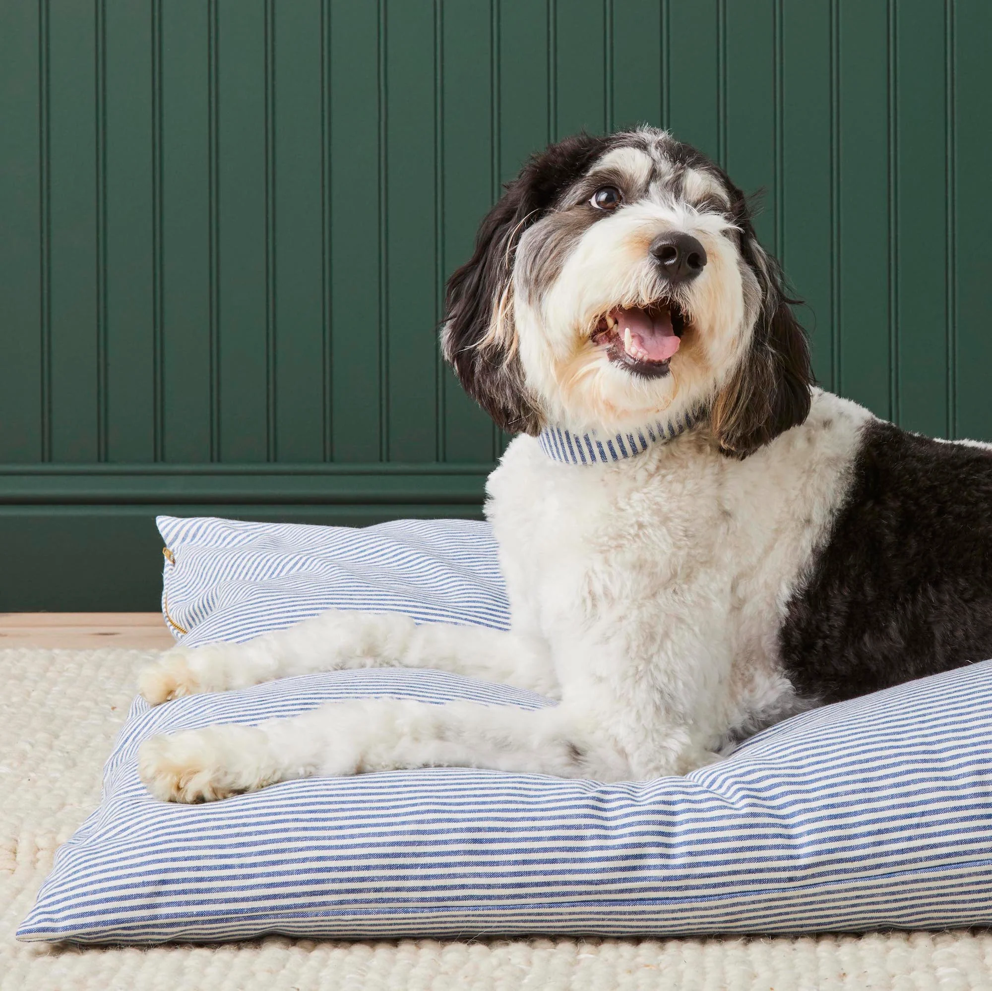 Lake Blue Stripe Dog Bed - Image 5