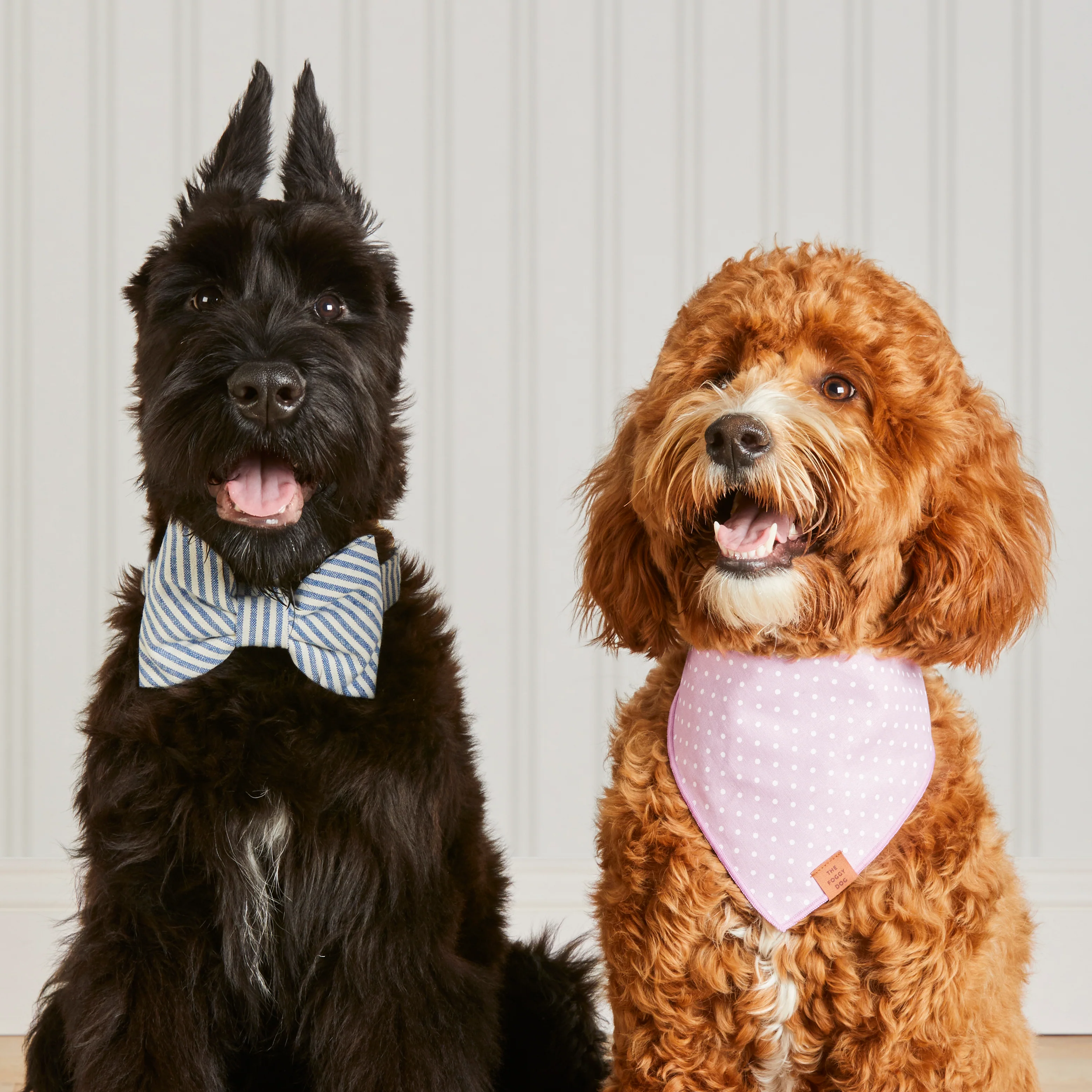 Lake Blue Stripe Dog Bow Tie - Image 5