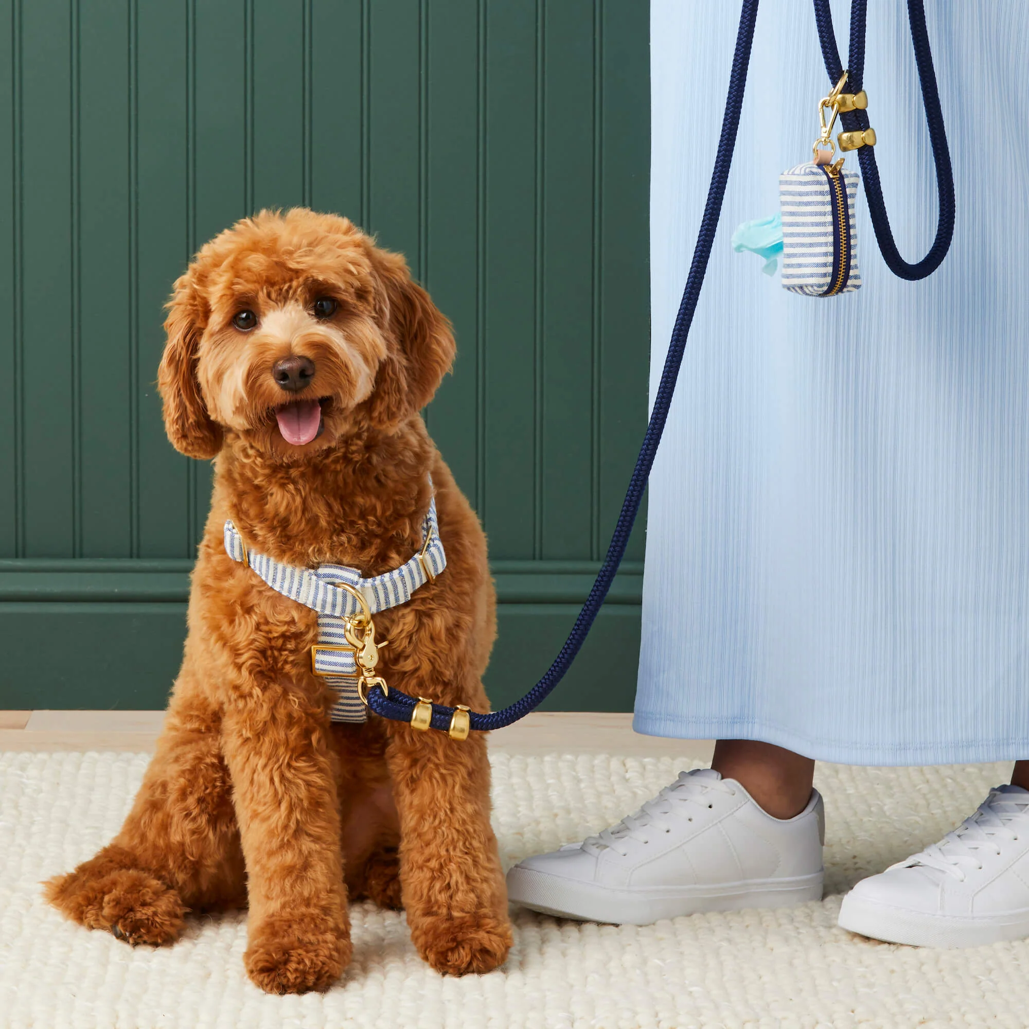 Lake Blue Stripe Harness Walk Set - Image 4