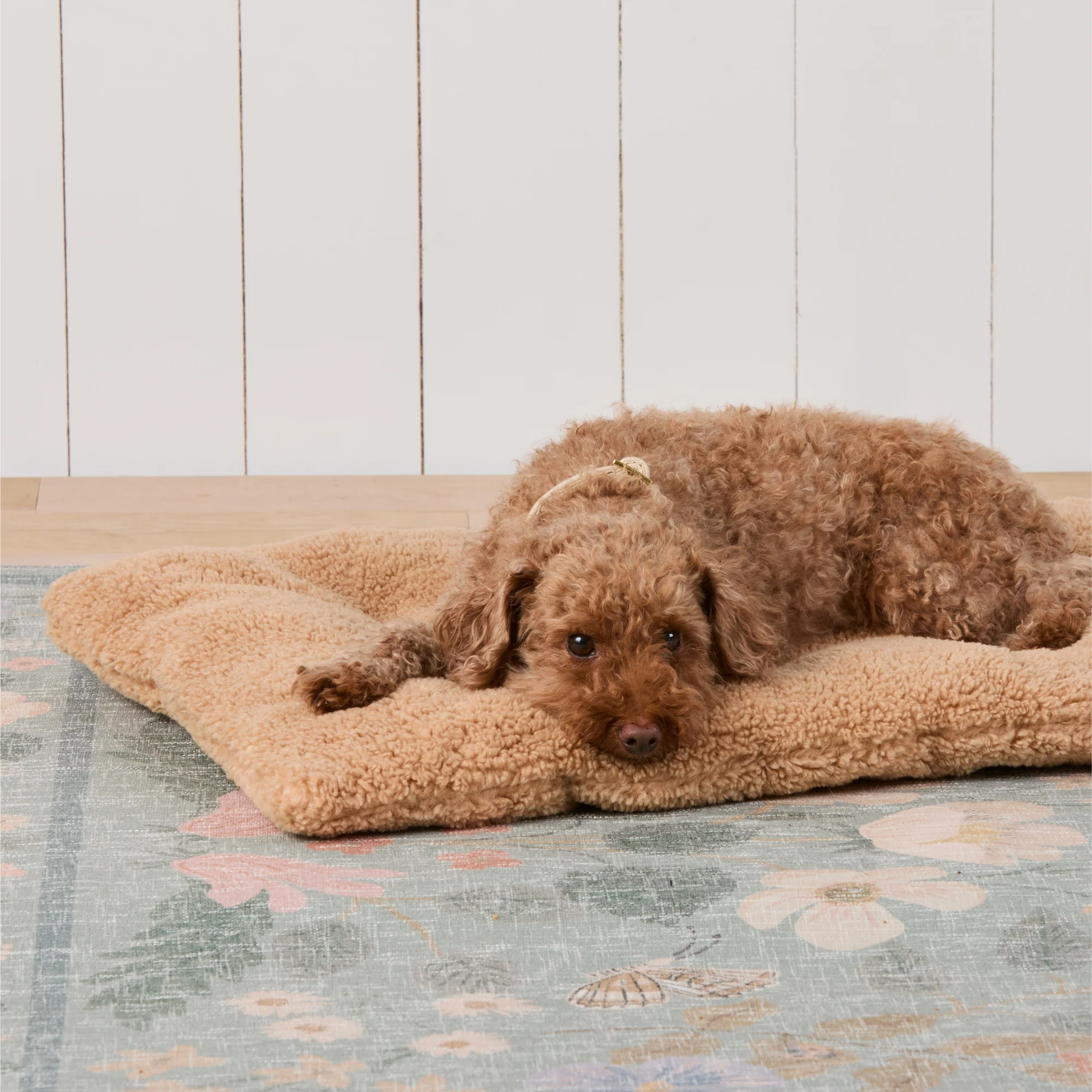 Latte Recycled Sherpa Bolster Dog Bed - Image 7