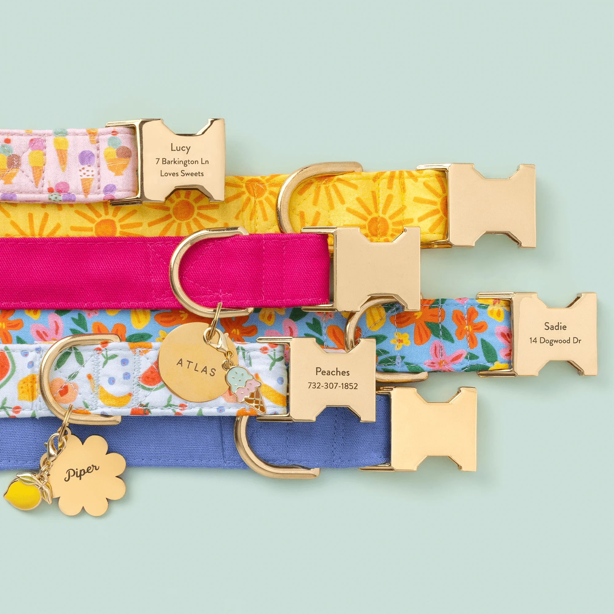 Hot Pink Dog Collar - Image 10