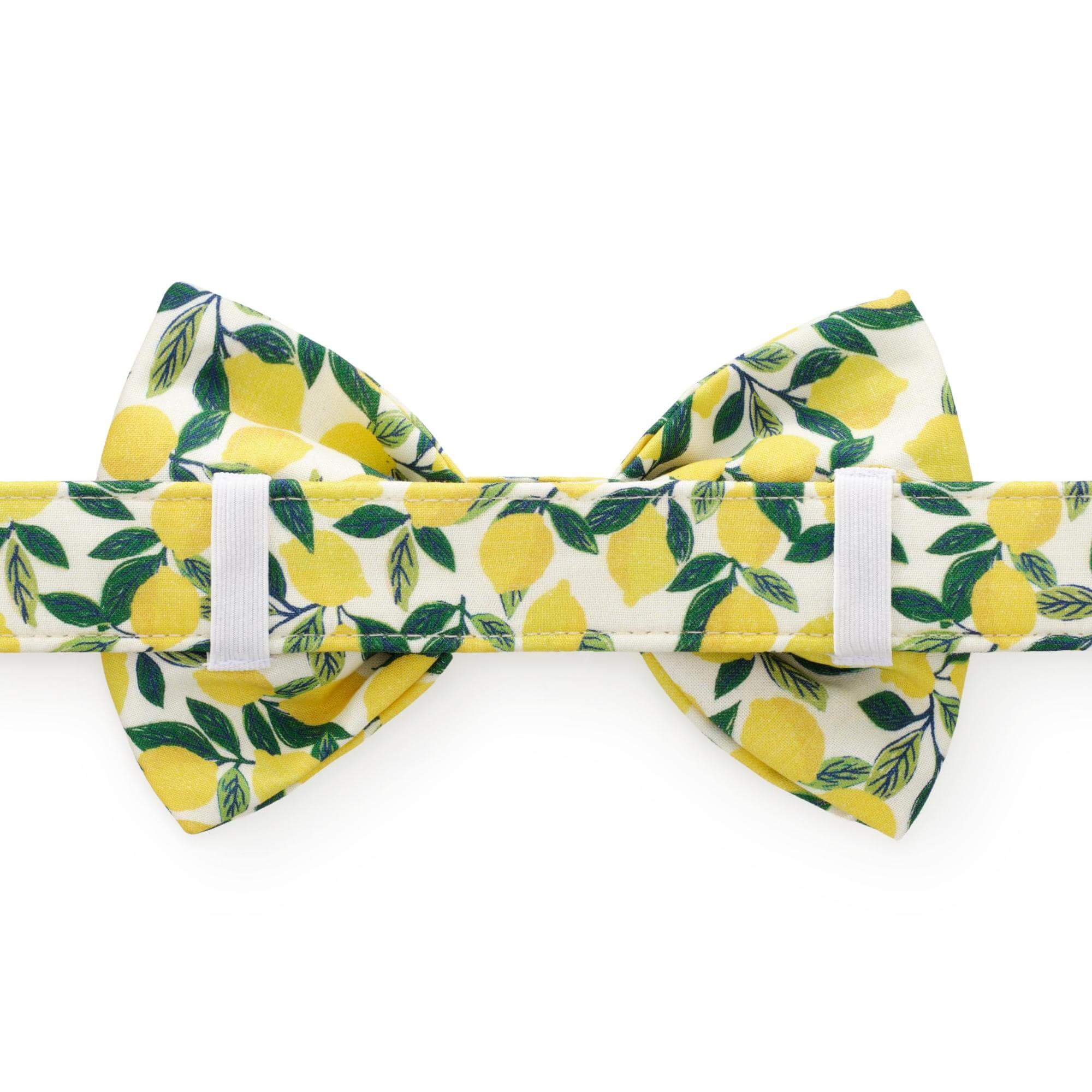 Lemon Zest Bow Tie Collar - Image 3