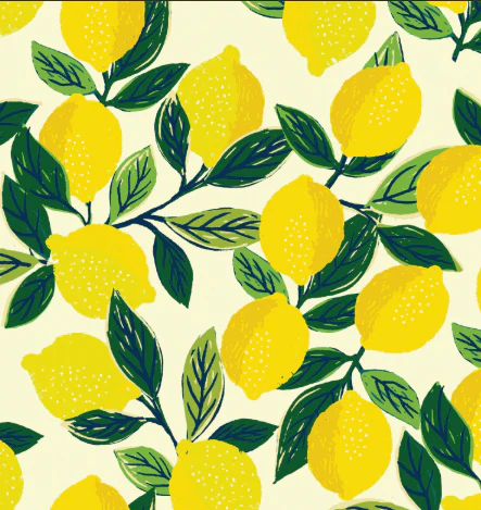 Lemon Zest Collar Walk Set - Image 5