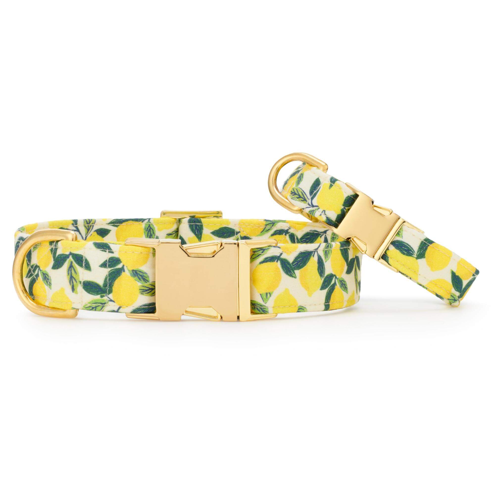 Lemon Zest Dog Collar - Image 4