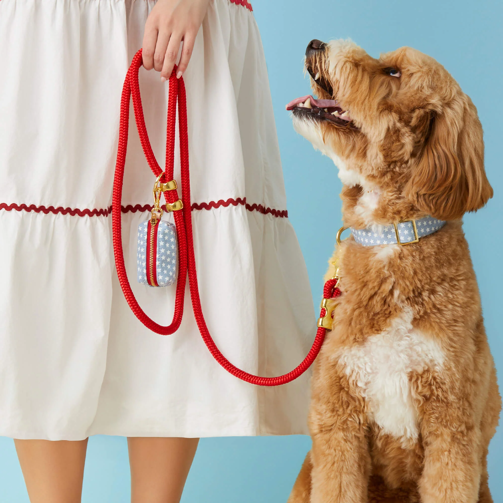 Liberty Collar Walk Set - Image 4