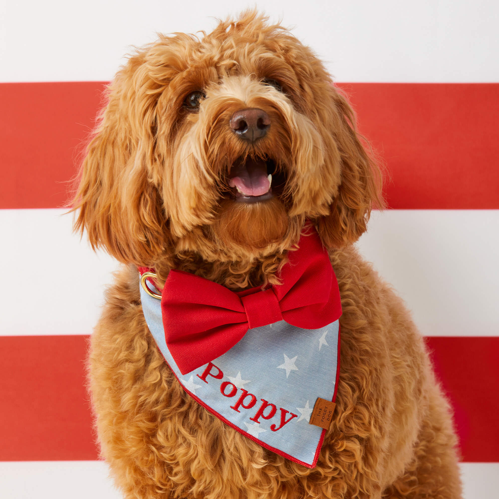 Liberty Dog Bandana - Image 3