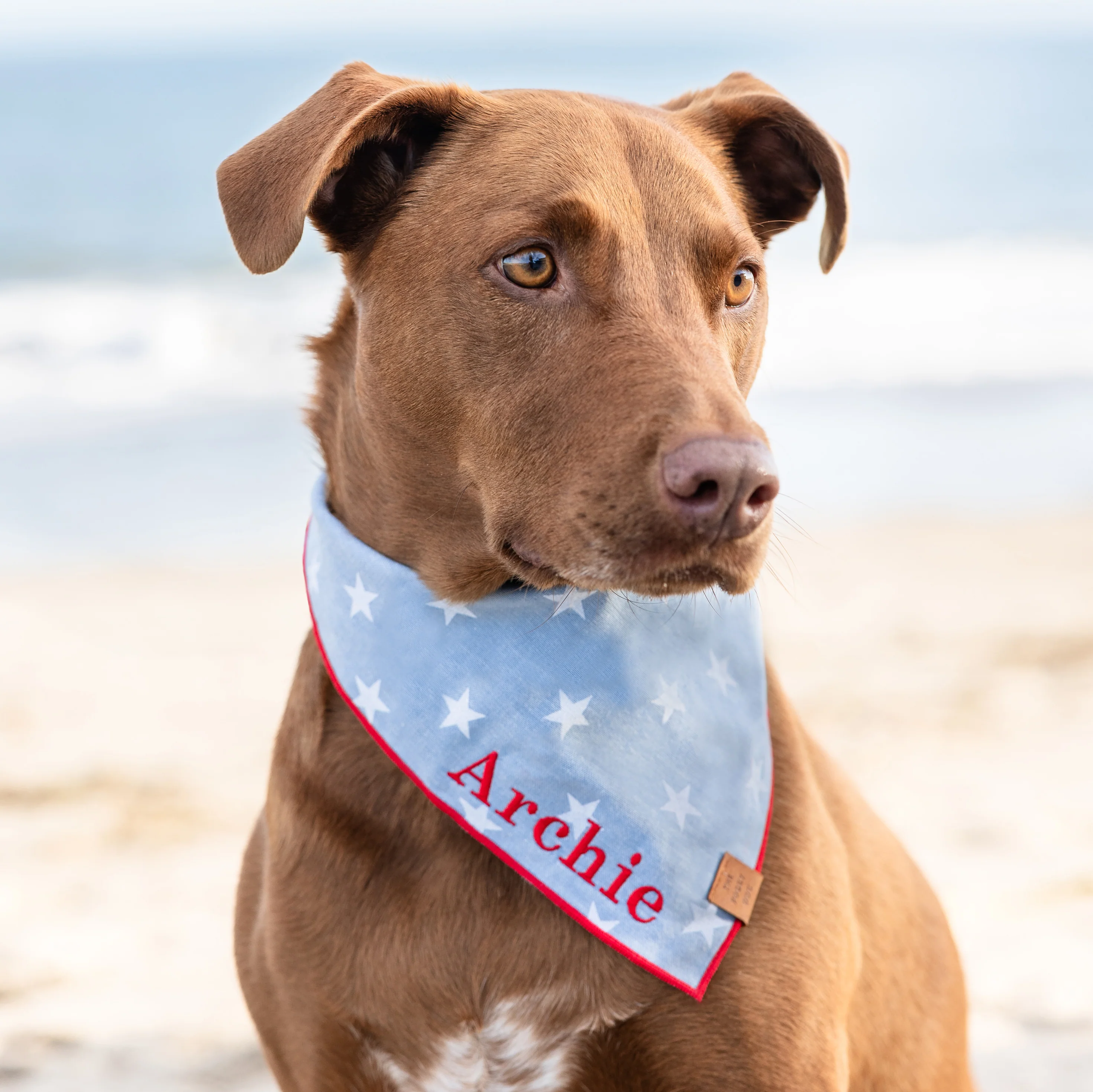 Liberty Dog Bandana - Image 4