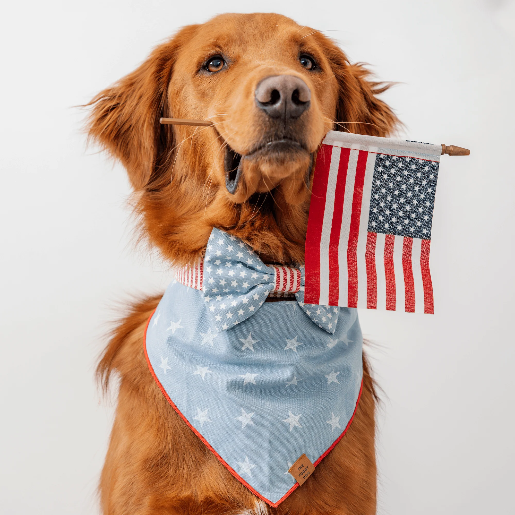 Liberty Dog Bandana - Image 5