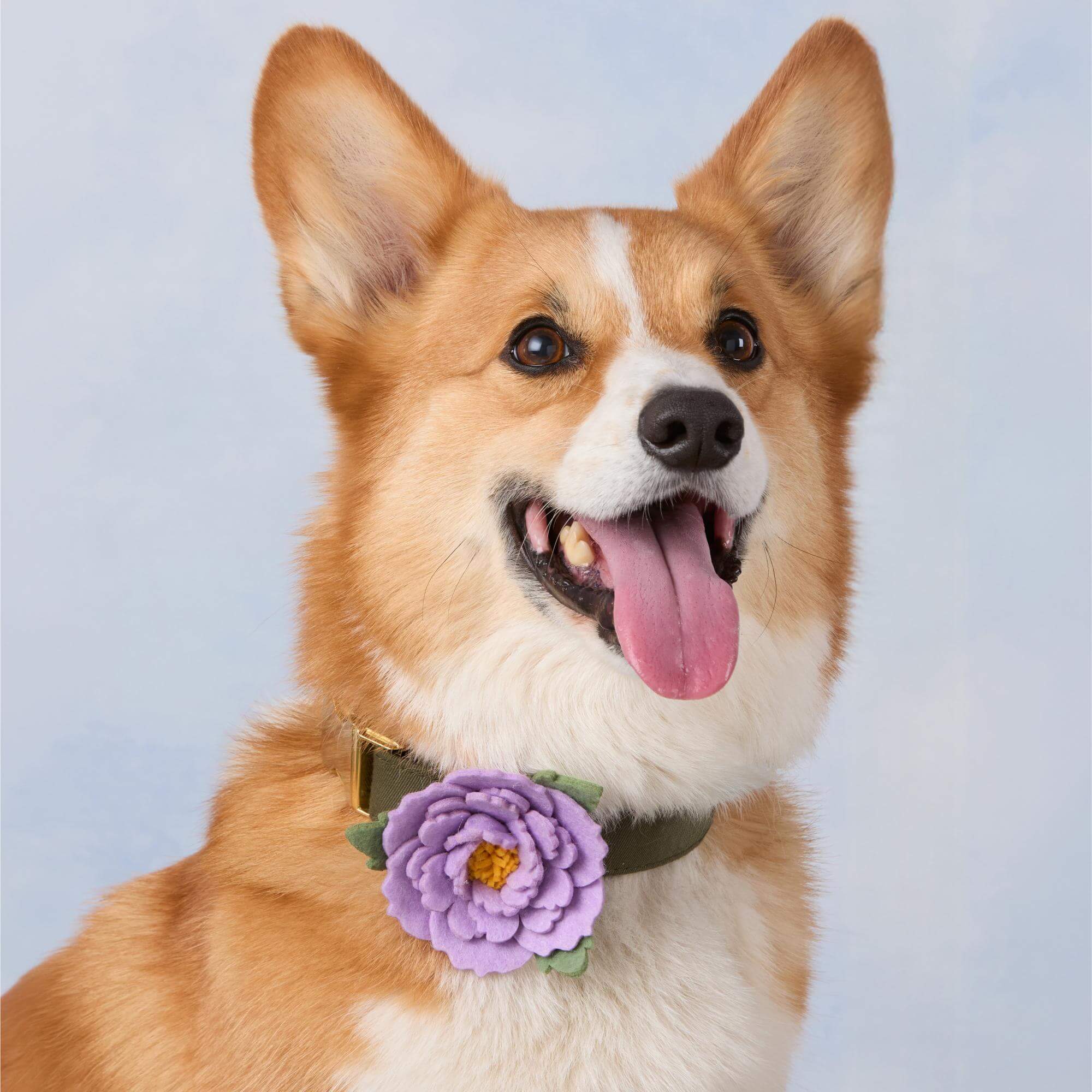 Lilac Peony Dog Collar Flower - Image 3