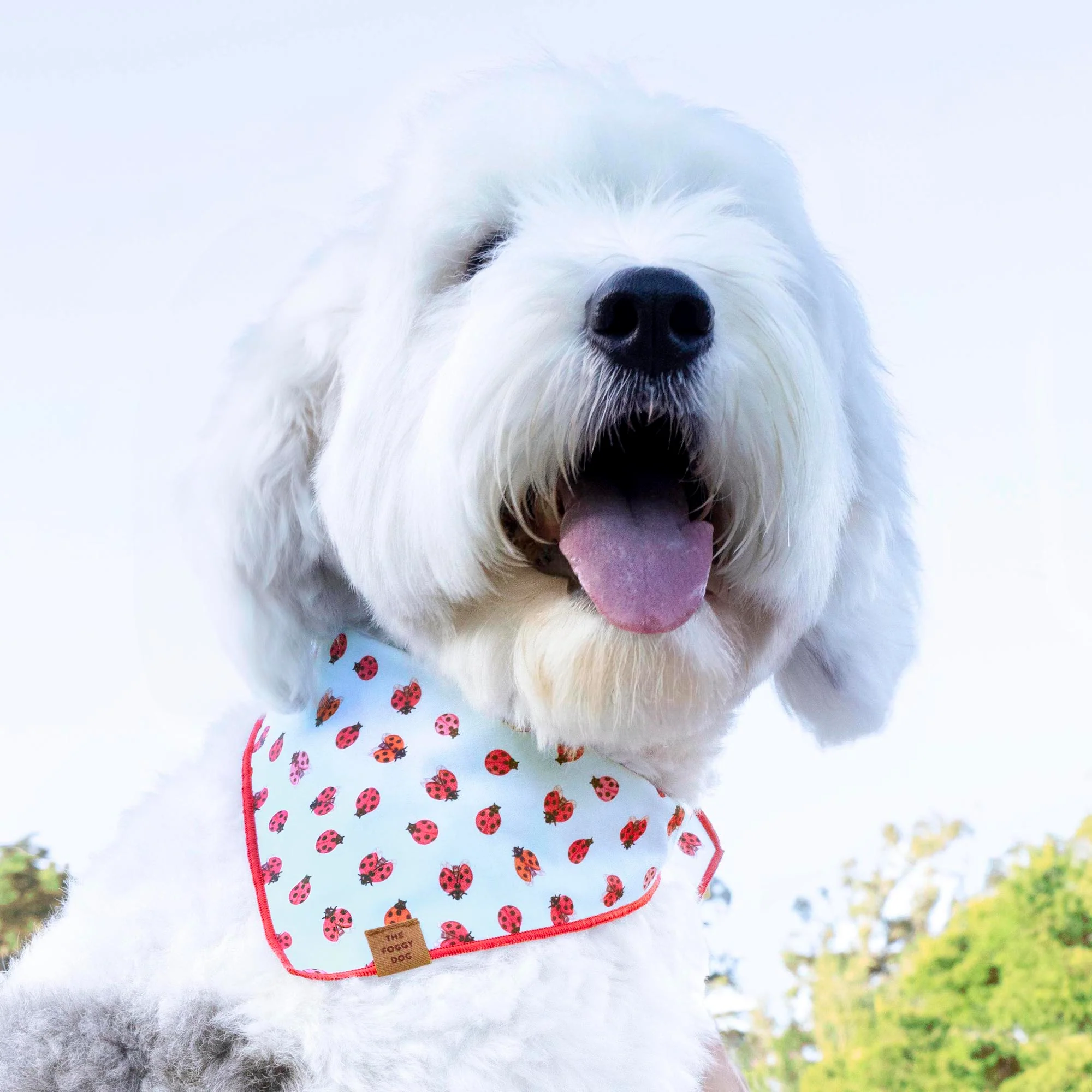 Love Bug Dog Bandana - Image 3