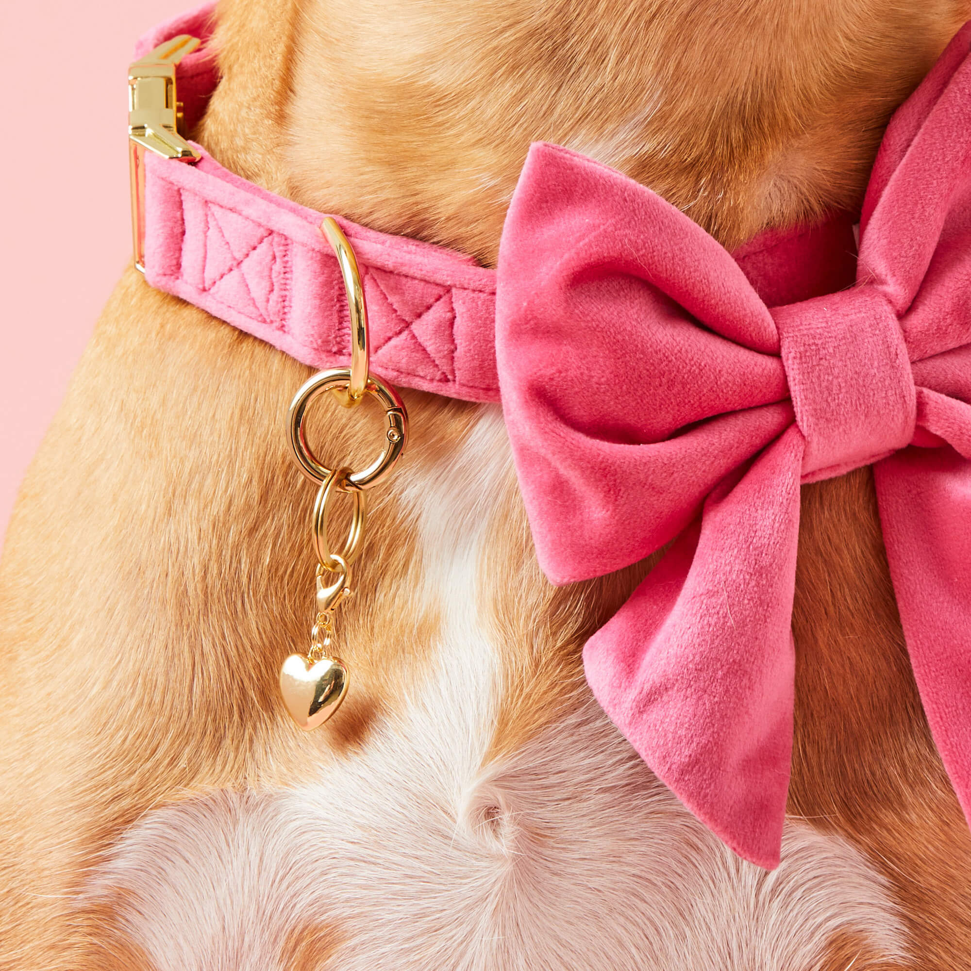 Love is Golden Collar Charm Set - Image 4