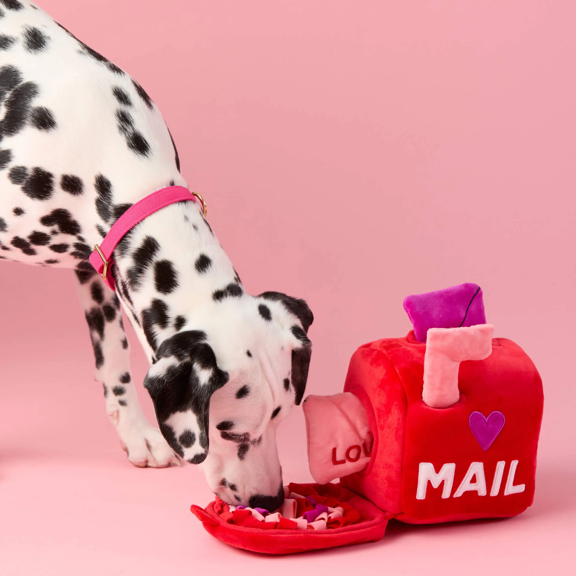 Love Letters Interactive Snuffle Dog Toy - Image 4