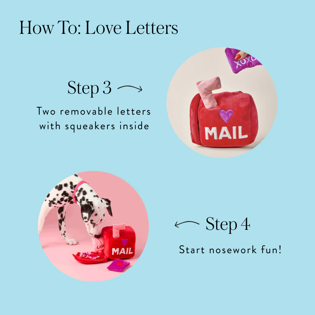 Love Letters Interactive Snuffle Dog Toy - Image 7