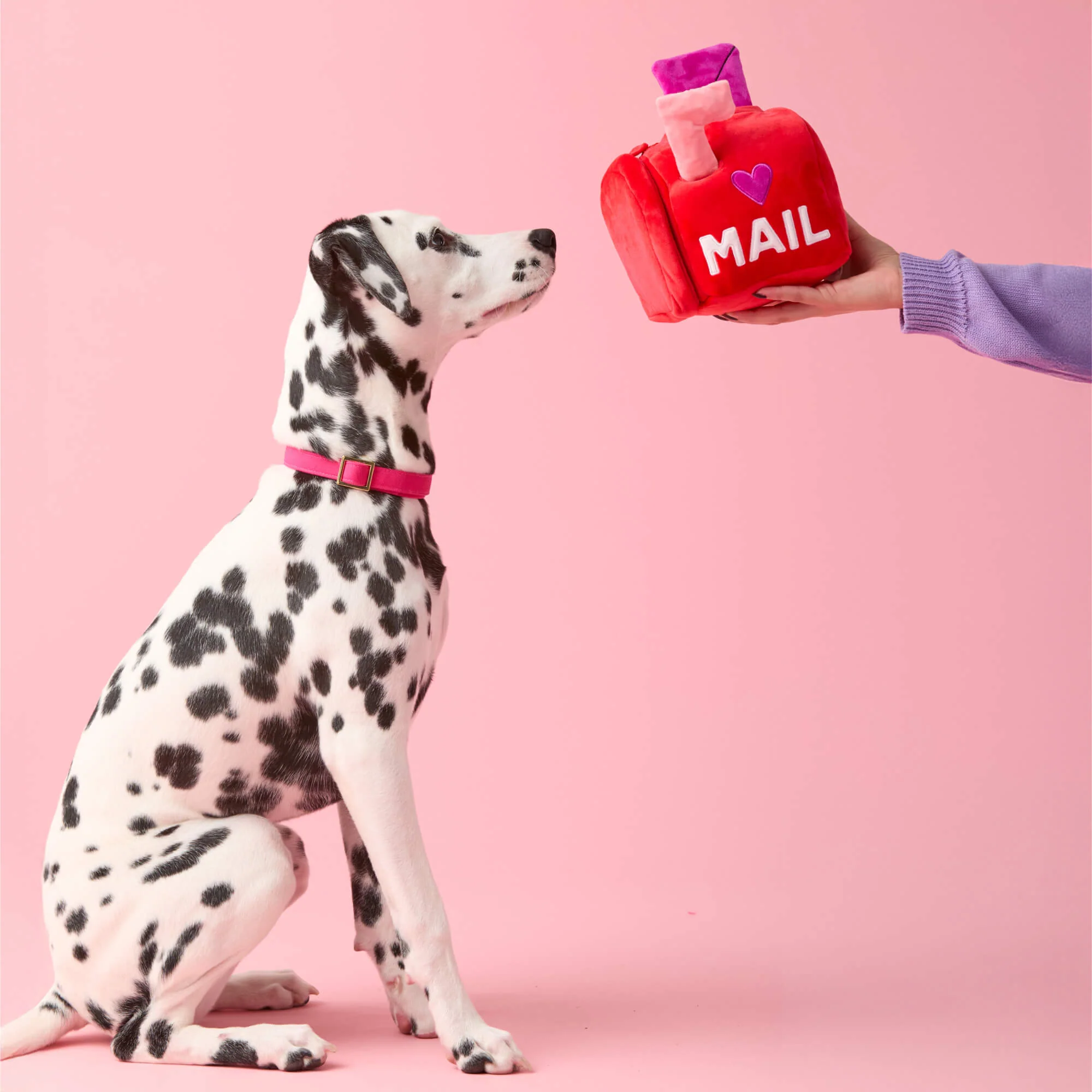 Love Letters Interactive Snuffle Dog Toy - Image 9