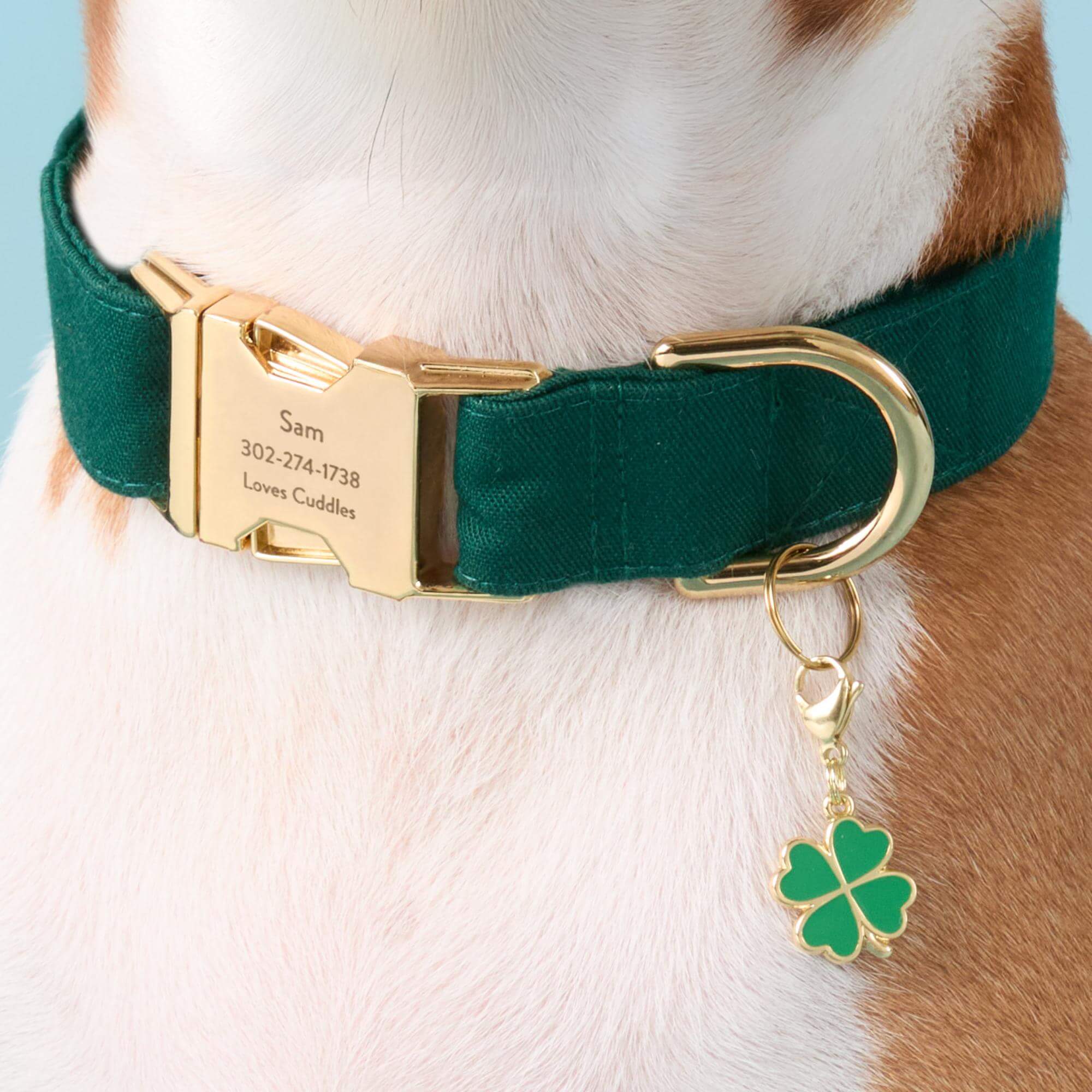 Lucky Clover Collar Charm - Image 4