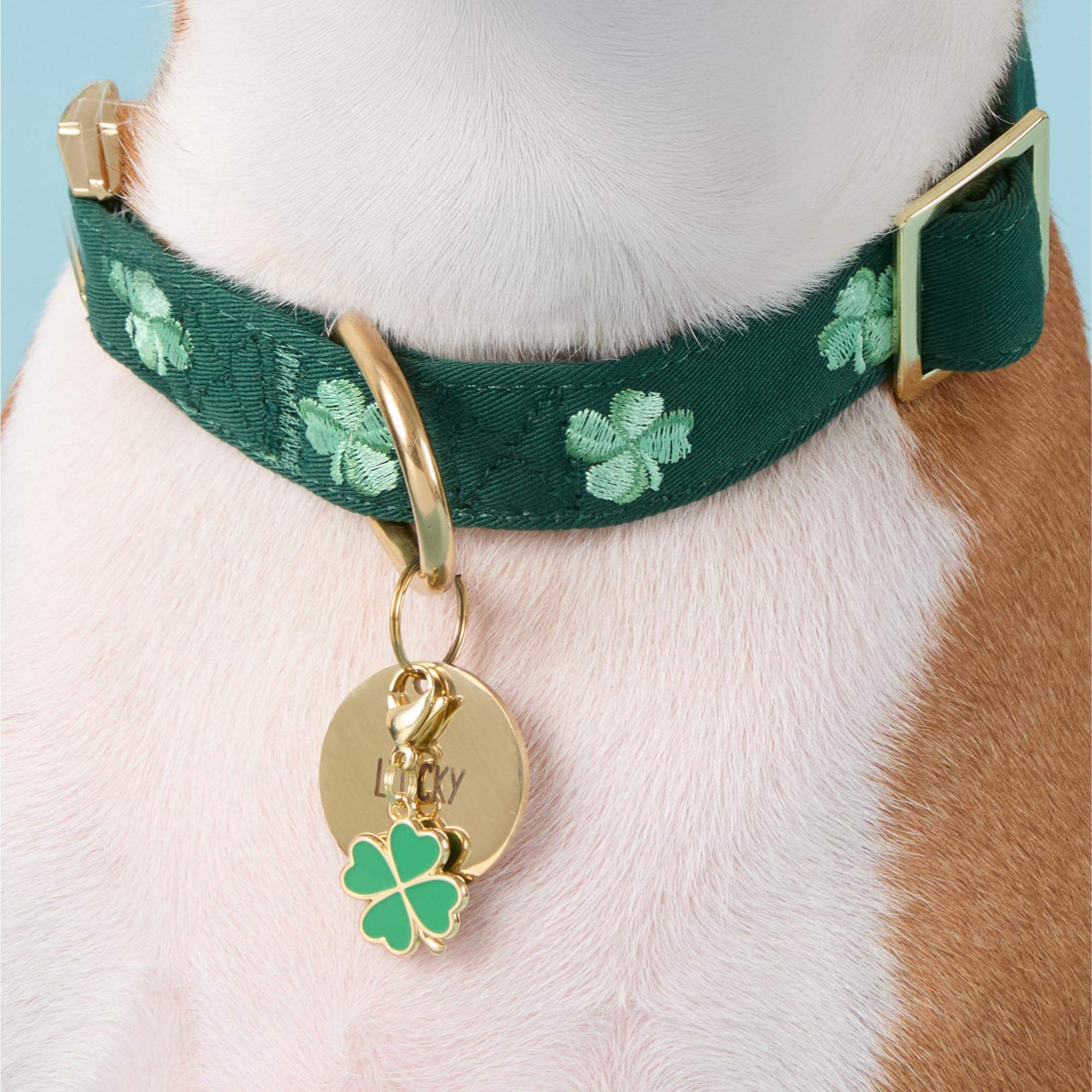 Lucky Rainbow Collar Charm Set - Image 4