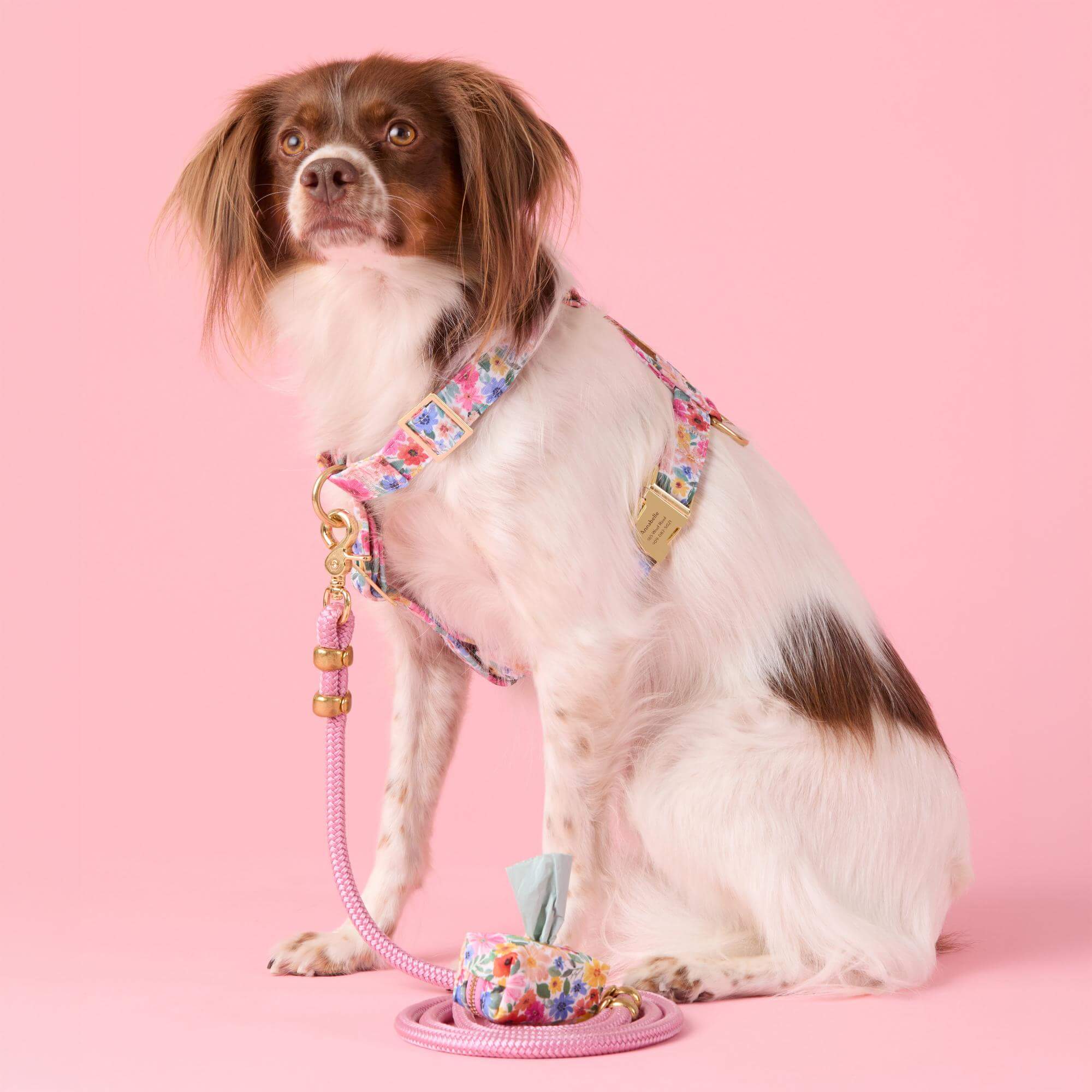 Margaux Harness Walk Set - Image 5