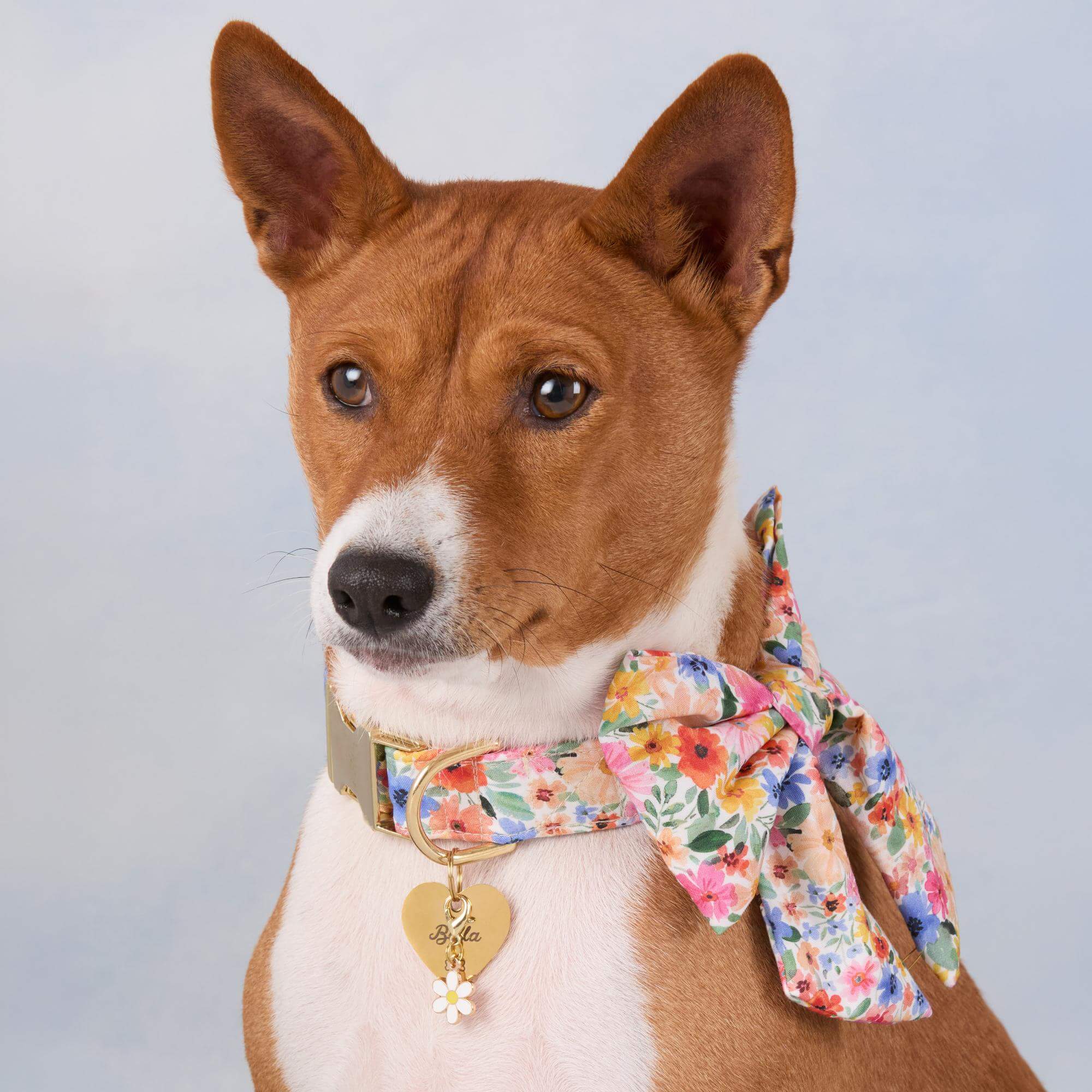 Margaux Lady Bow Collar - Image 5