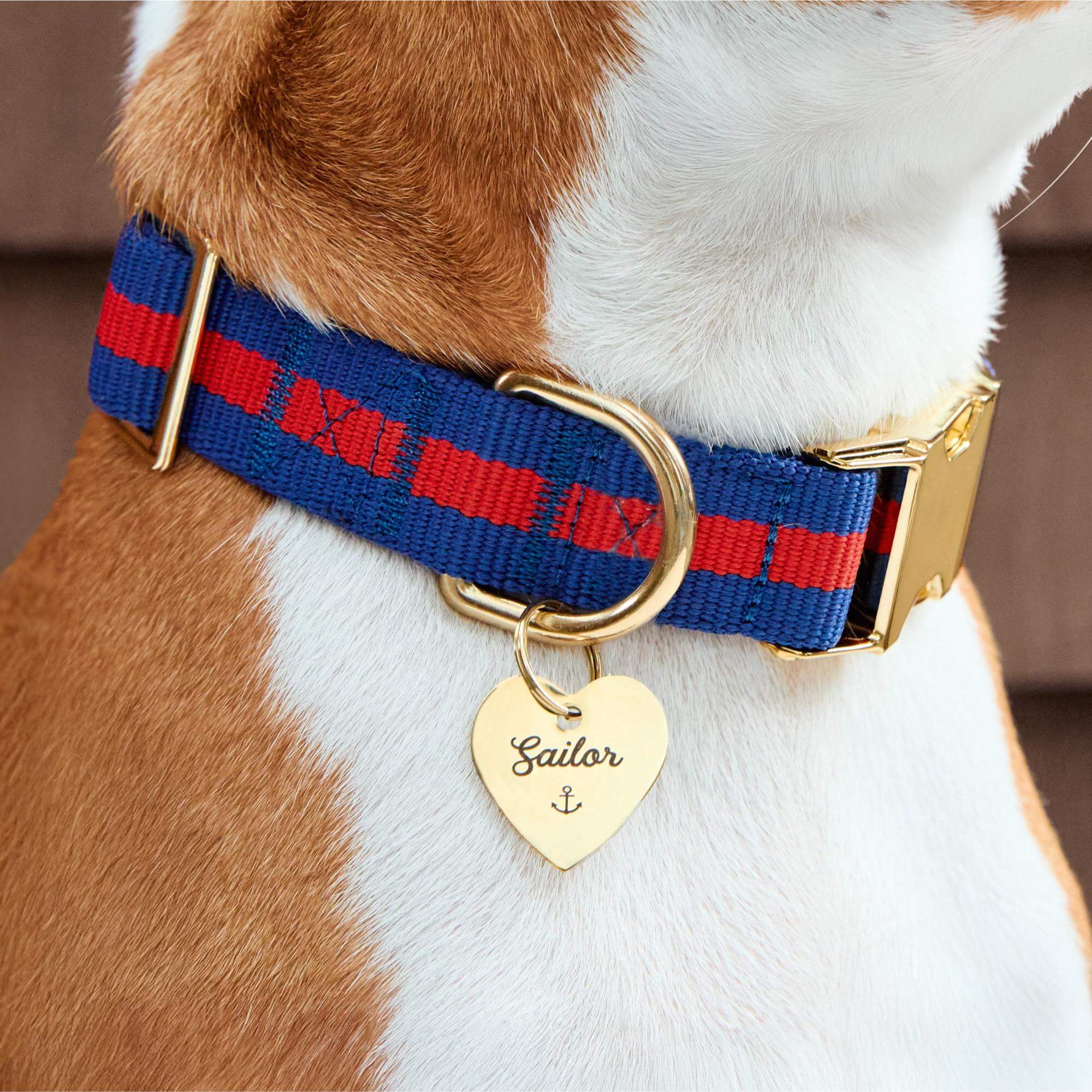 Mariner Striped Webbing Dog Collar - Image 5