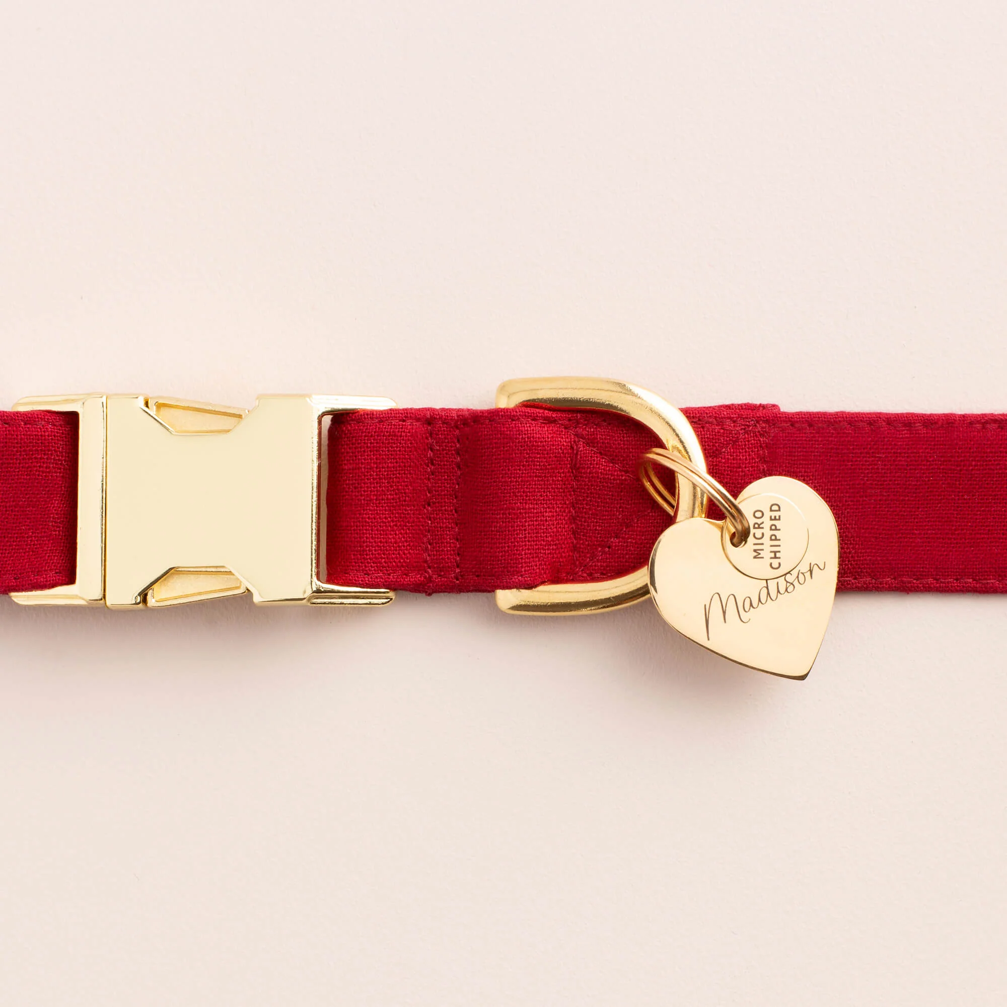 Microchipped Mini Pet ID Tag - Image 2