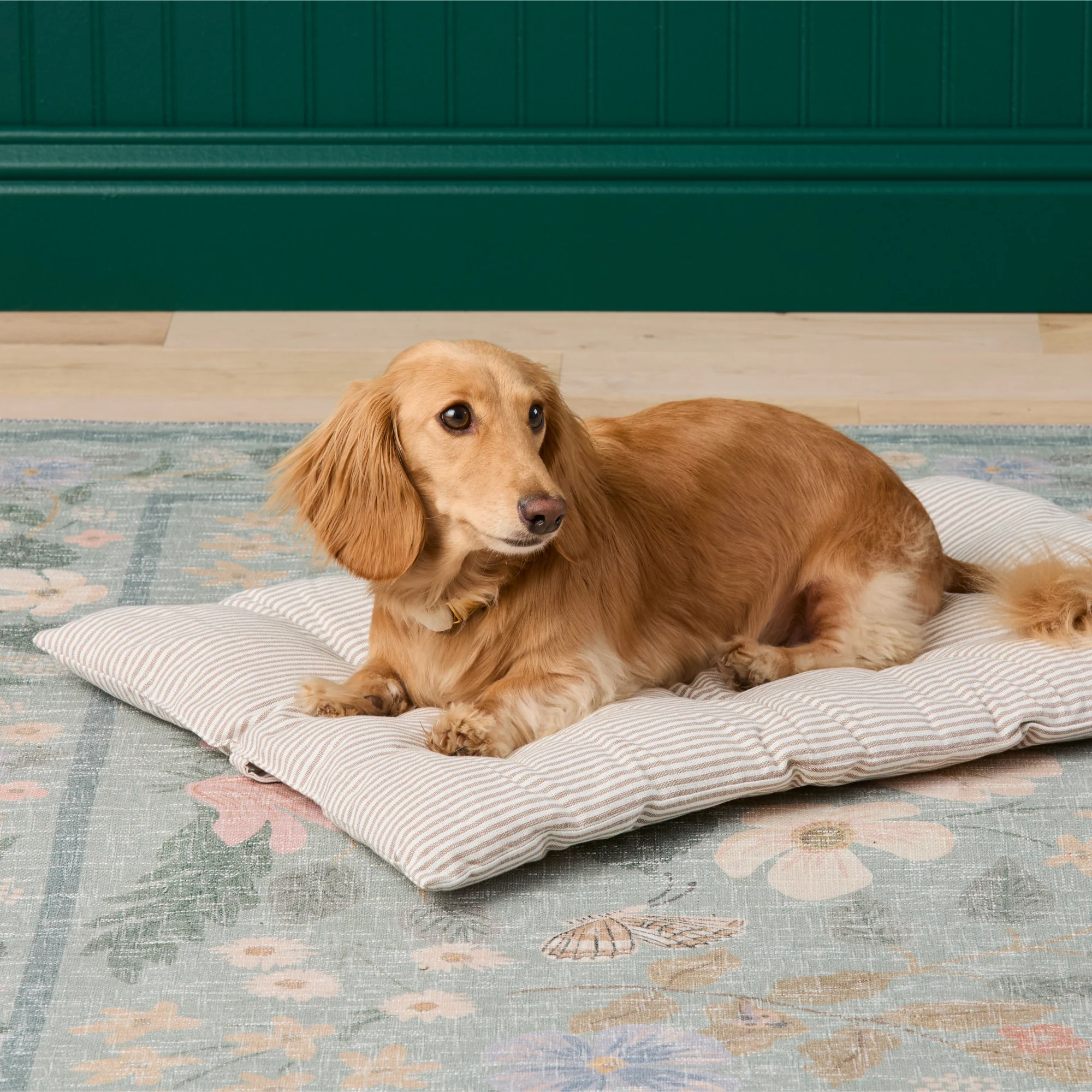Mushroom Brown Stripe Bolster Dog Bed - Image 8