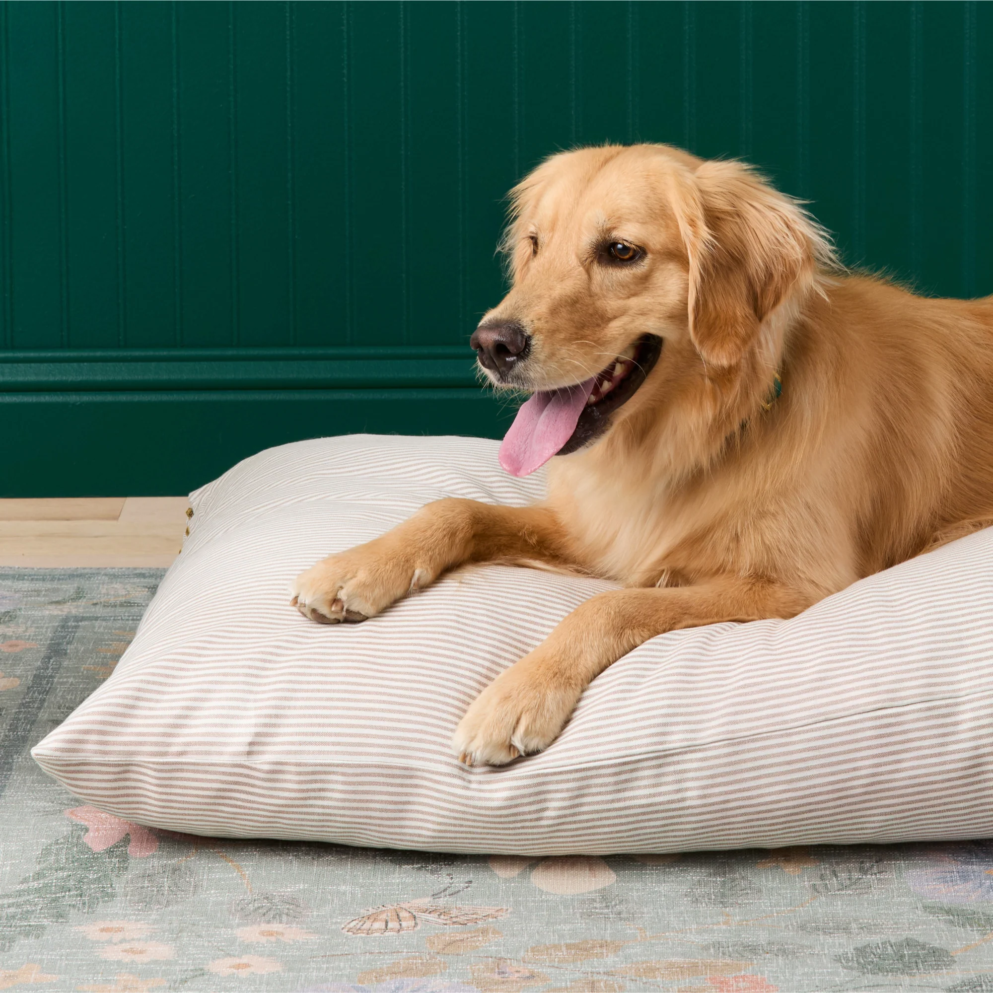 Mushroom Brown Stripe Dog Bed - Image 6