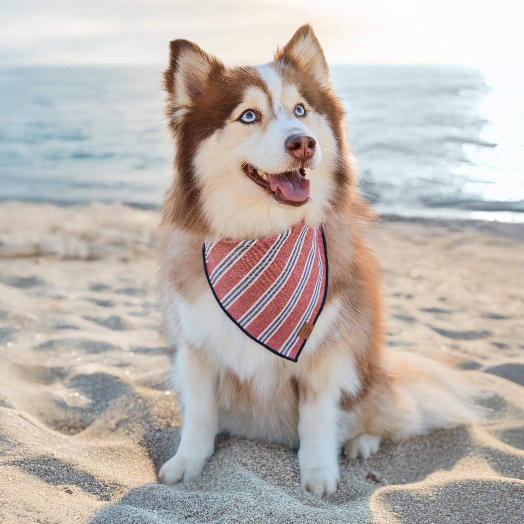 Nantucket Stripe Dog Bandana - Image 3