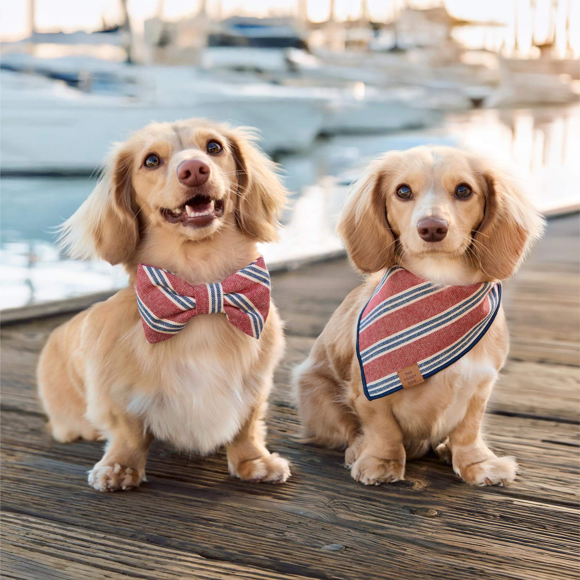 Nantucket Stripe Dog Bandana - Image 4