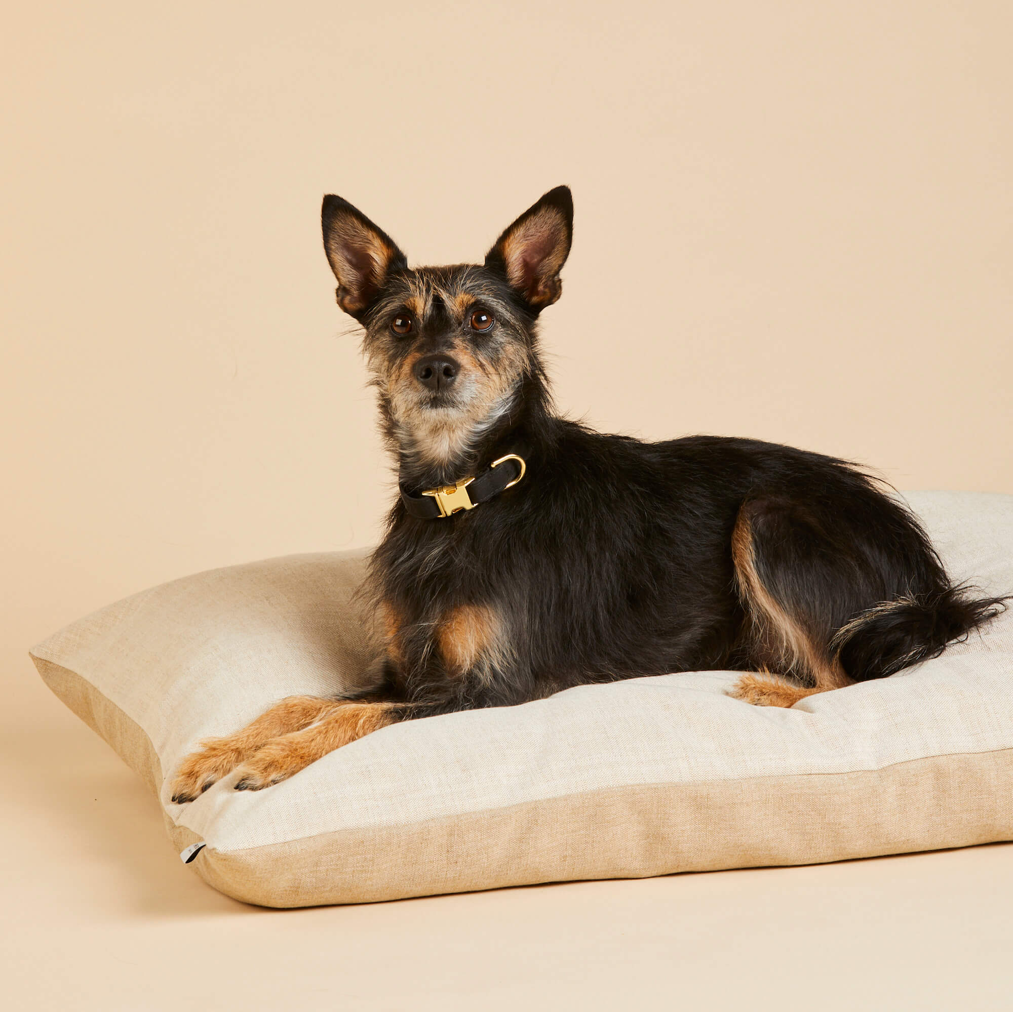 Natural Dog Bed - Image 7