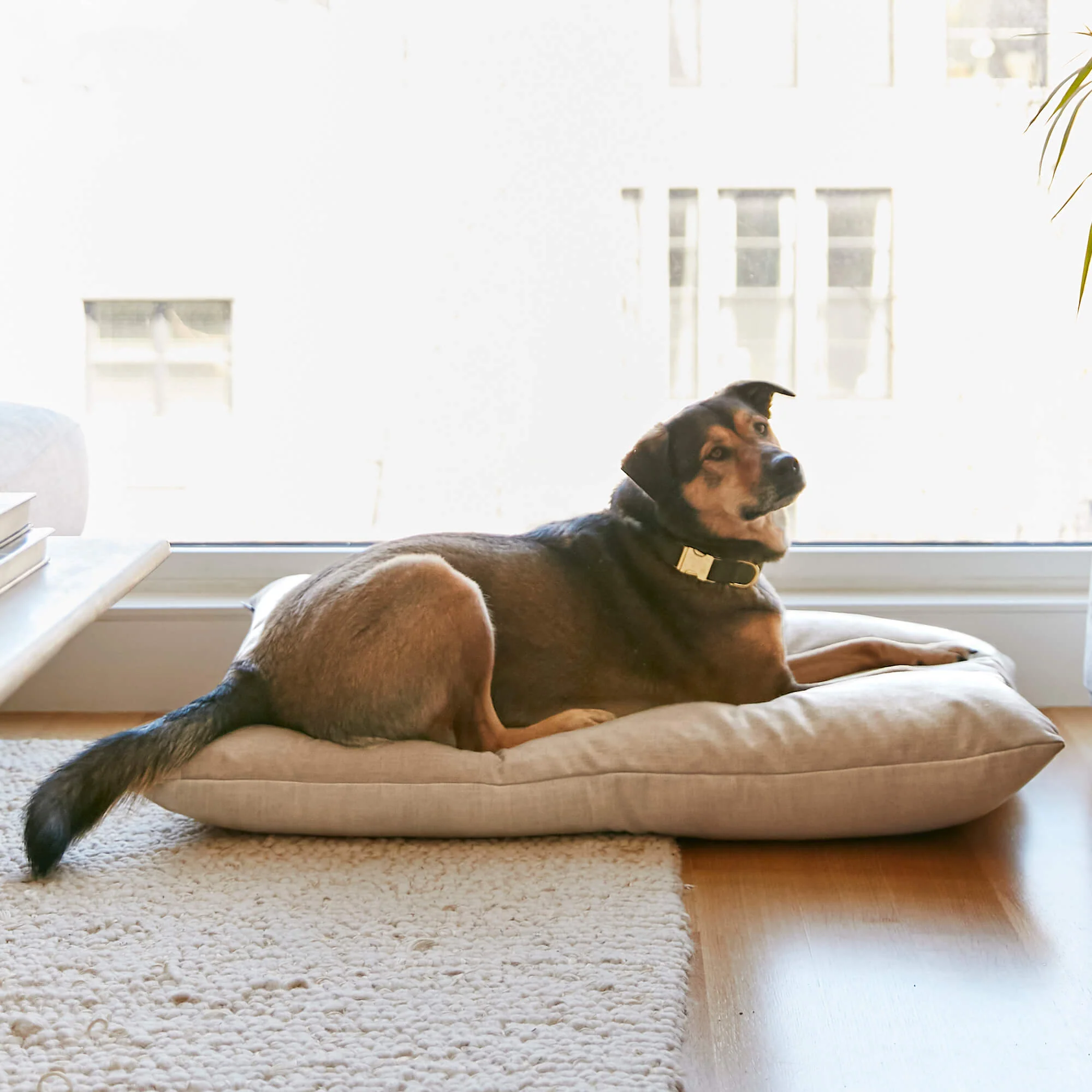 Natural Dog Bed - Image 9