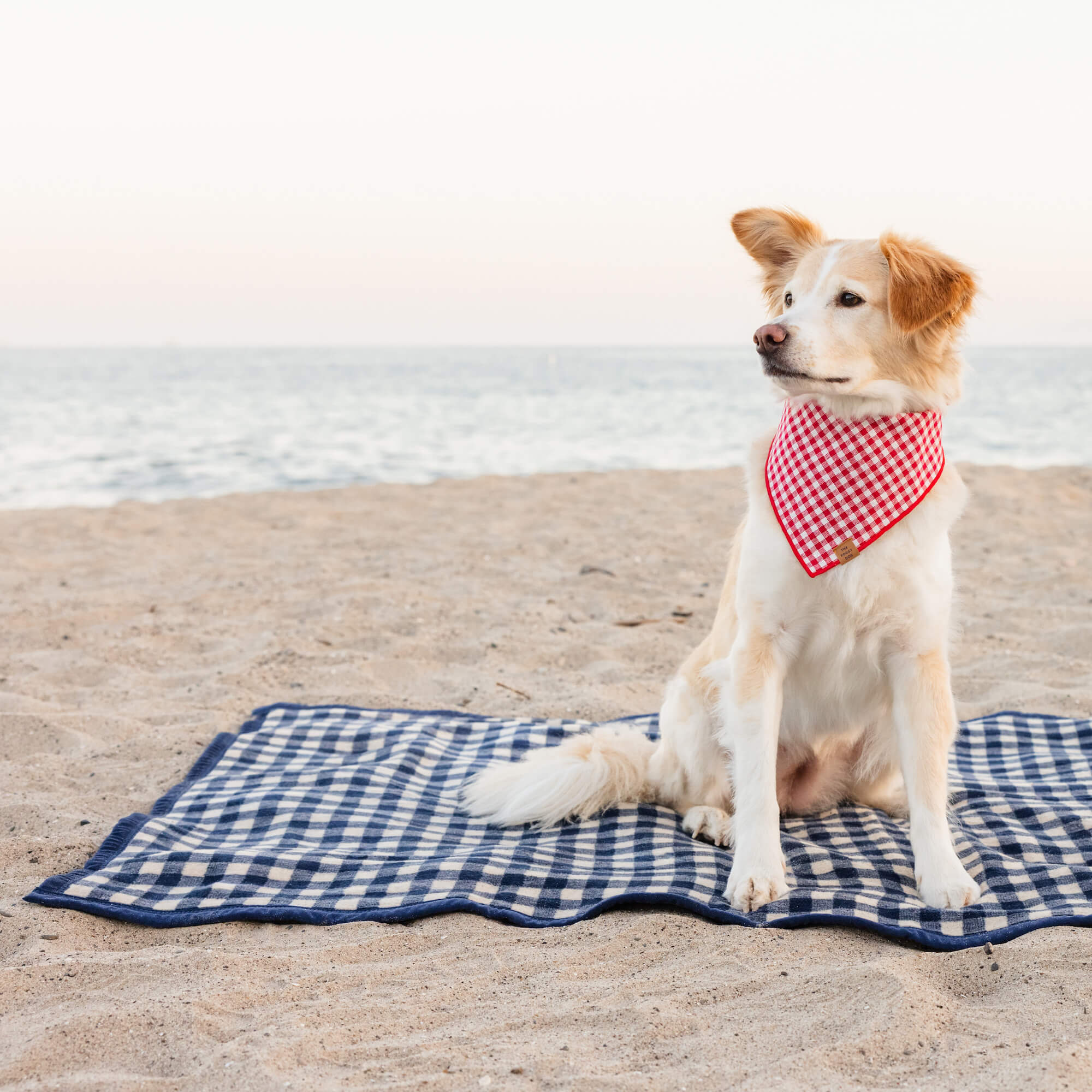 ChappyWrap Navy Gingham Dog Blanket - Image 4