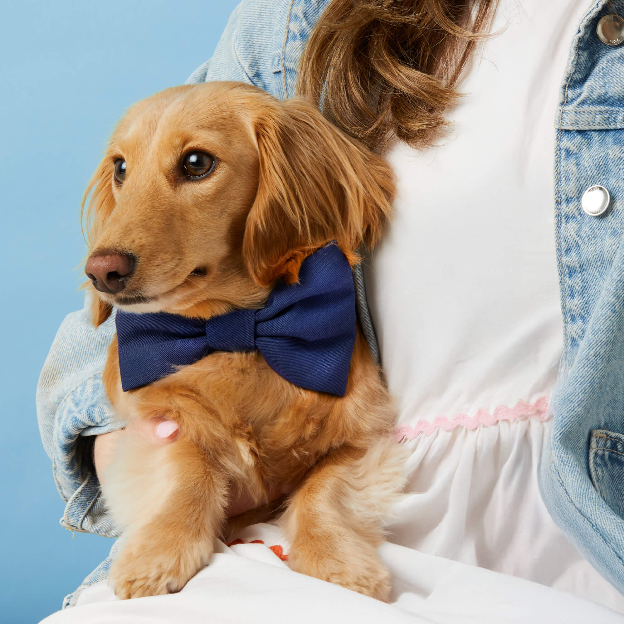 Ocean Dog Bow Tie - Image 3