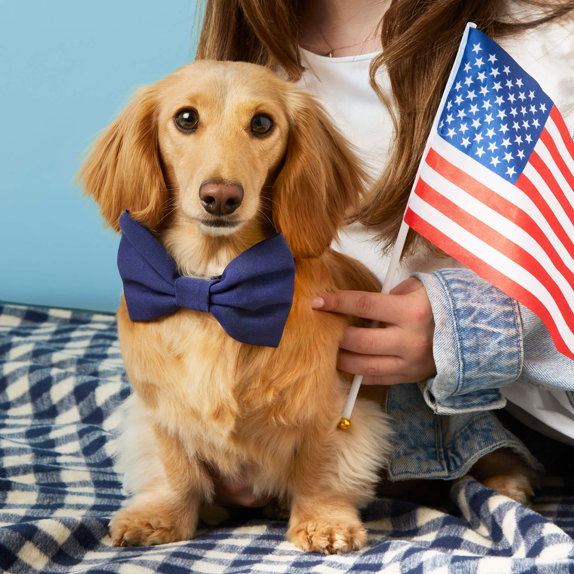 Ocean Dog Bow Tie - Image 4