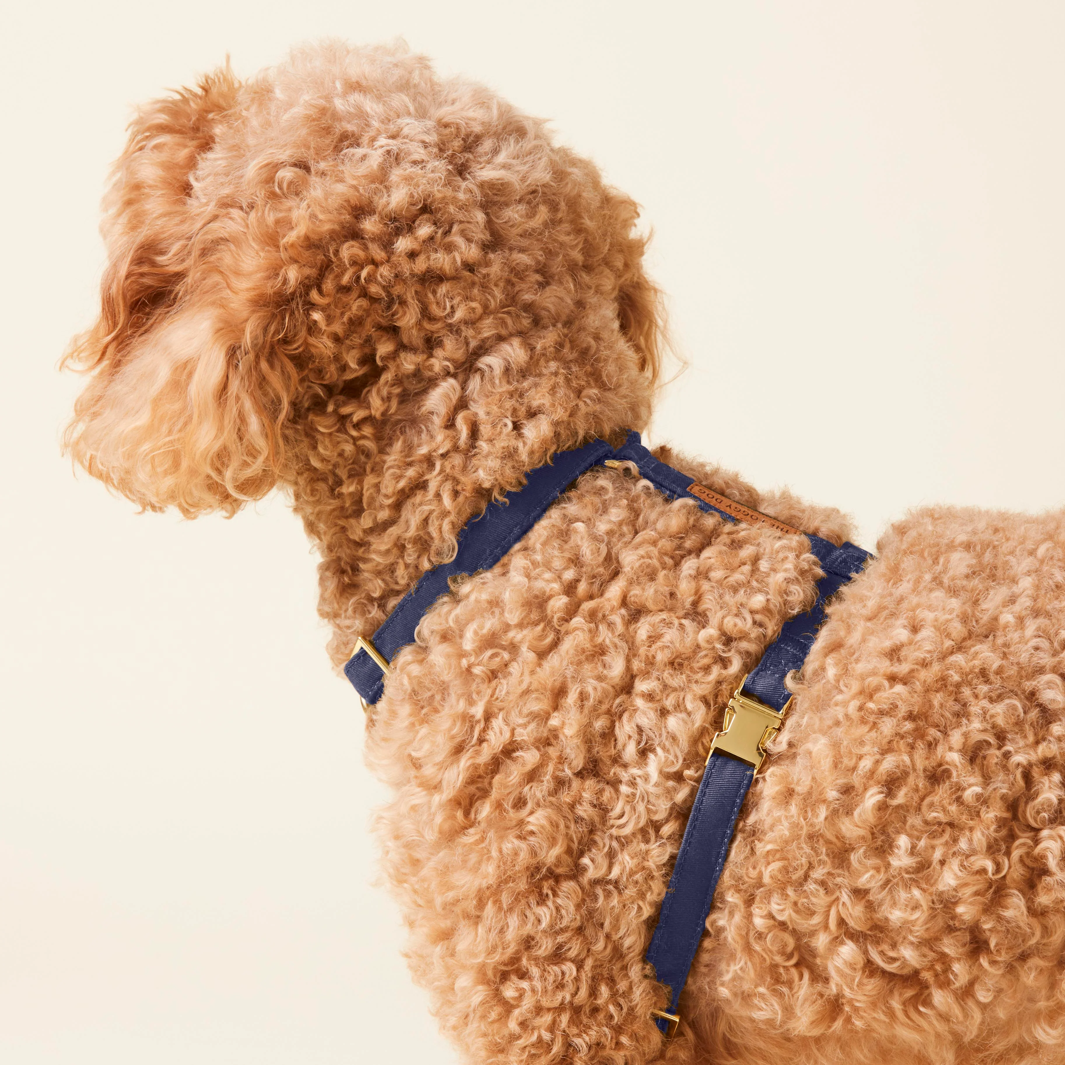 Ocean Dog Harness - Image 11