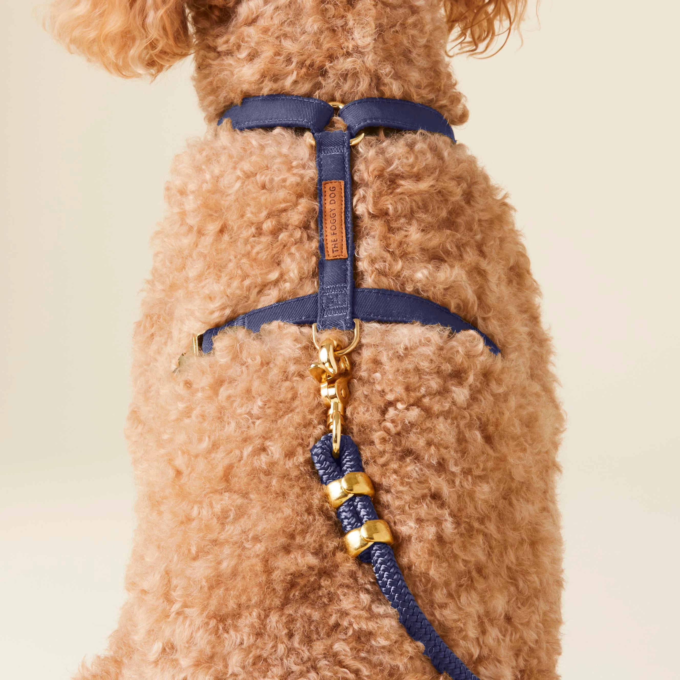 Ocean Dog Harness - Image 7