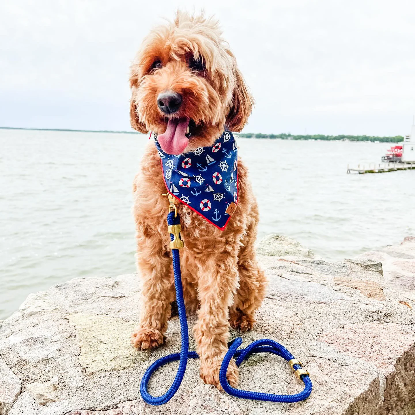 Ocean Marine Rope Dog Leash - Image 10