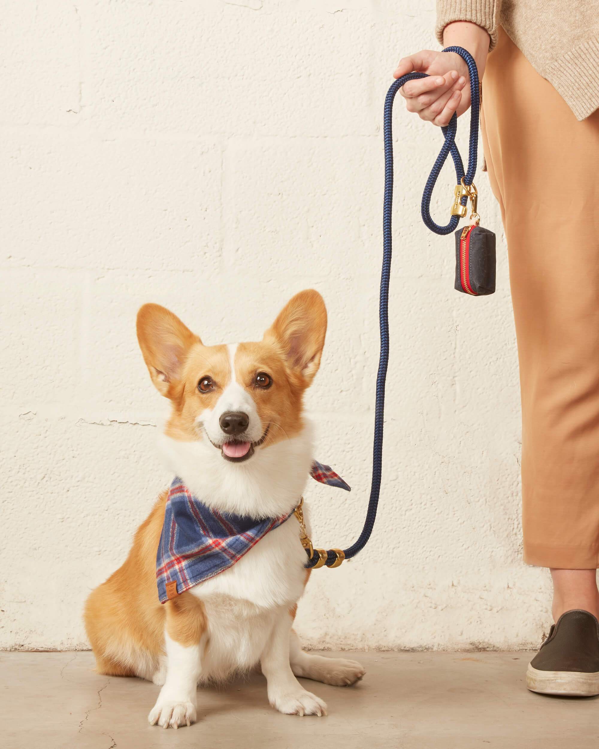 Ocean Marine Rope Dog Leash - Image 11