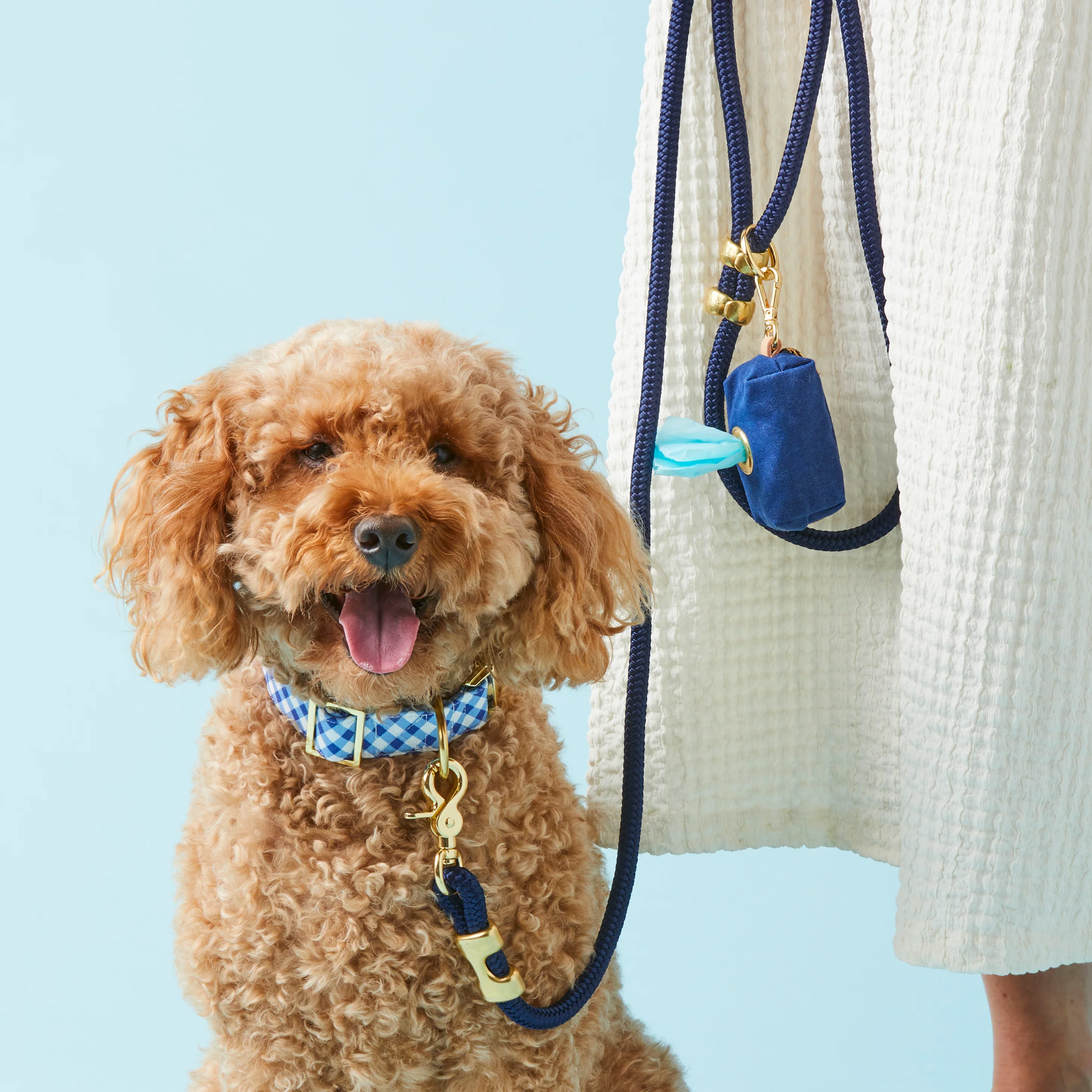 Ocean Marine Rope Dog Leash - Image 5