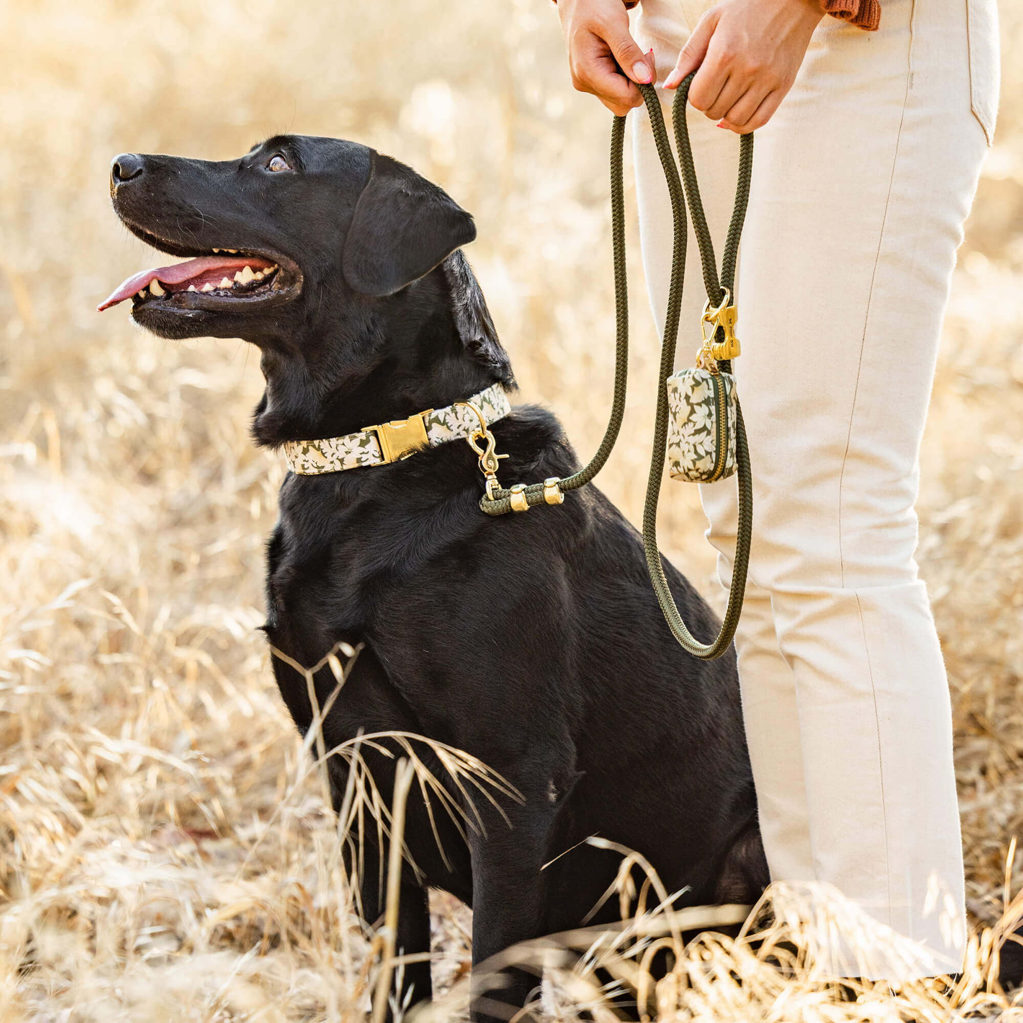 Olive Marine Rope Dog Leash - Image 3