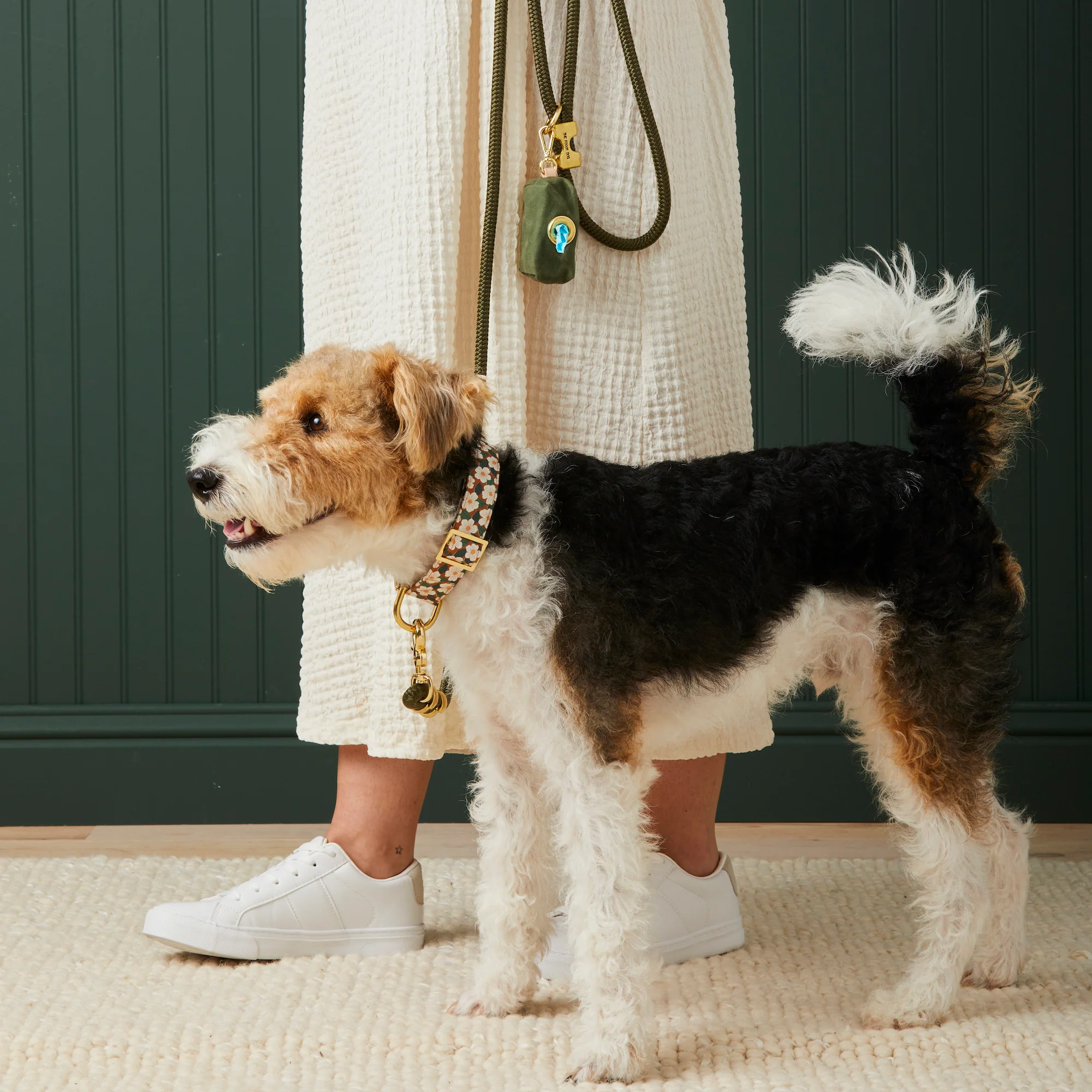 Olive Marine Rope Dog Leash - Image 4