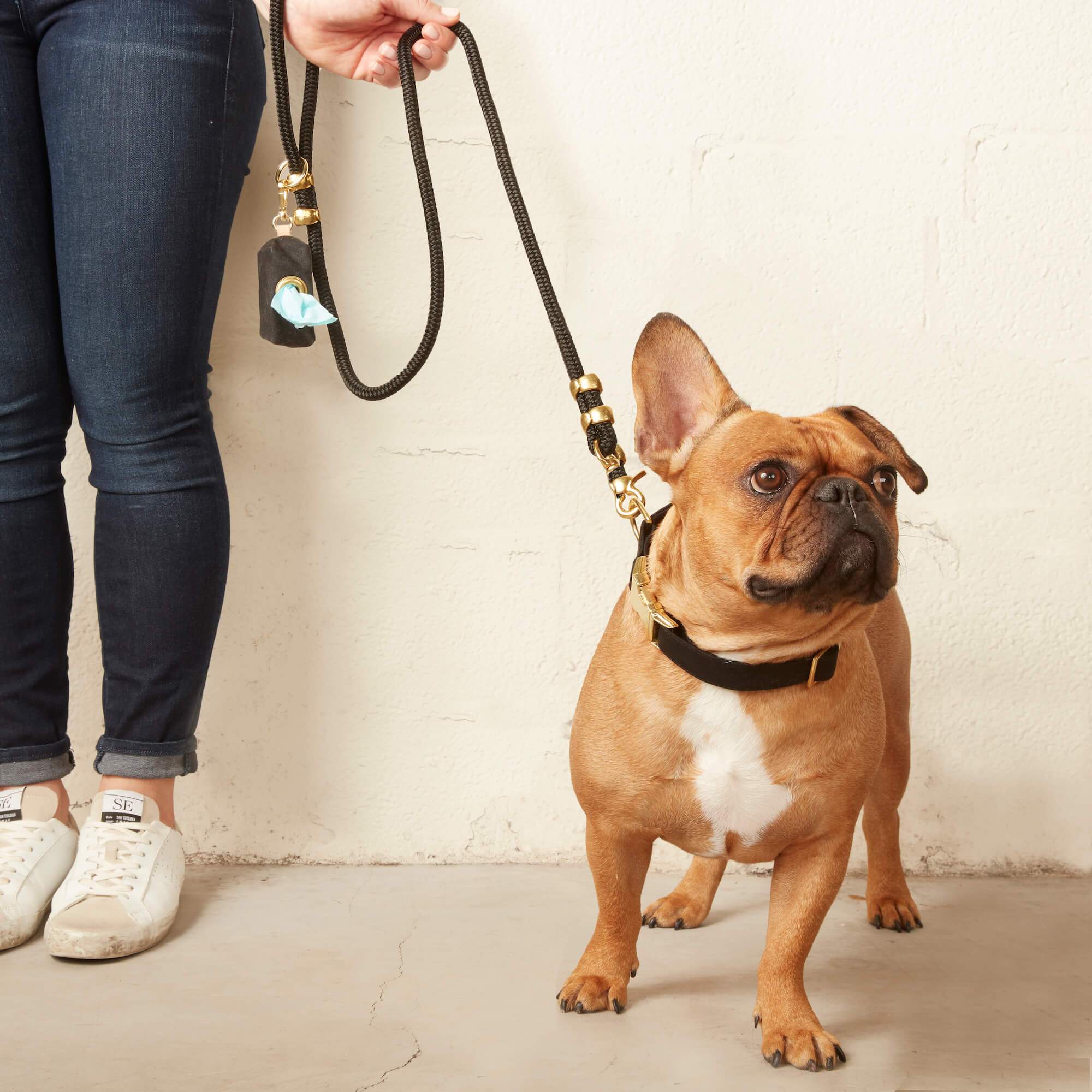 Onyx Collar Walk Set - Image 4