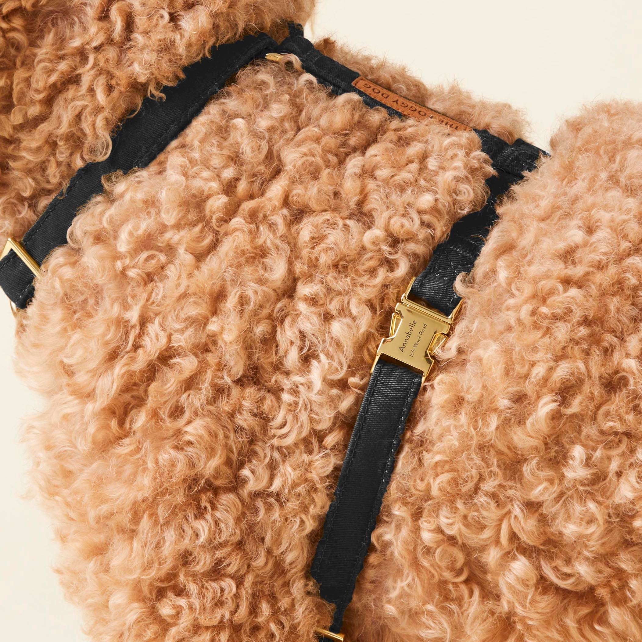 Onyx Dog Harness - Image 6