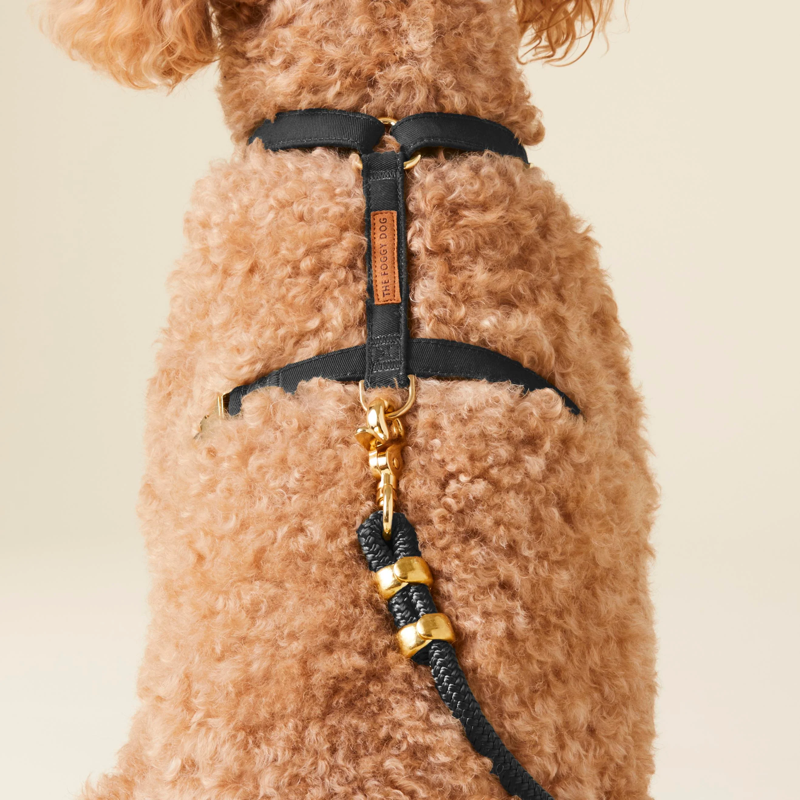Onyx Dog Harness - Image 7